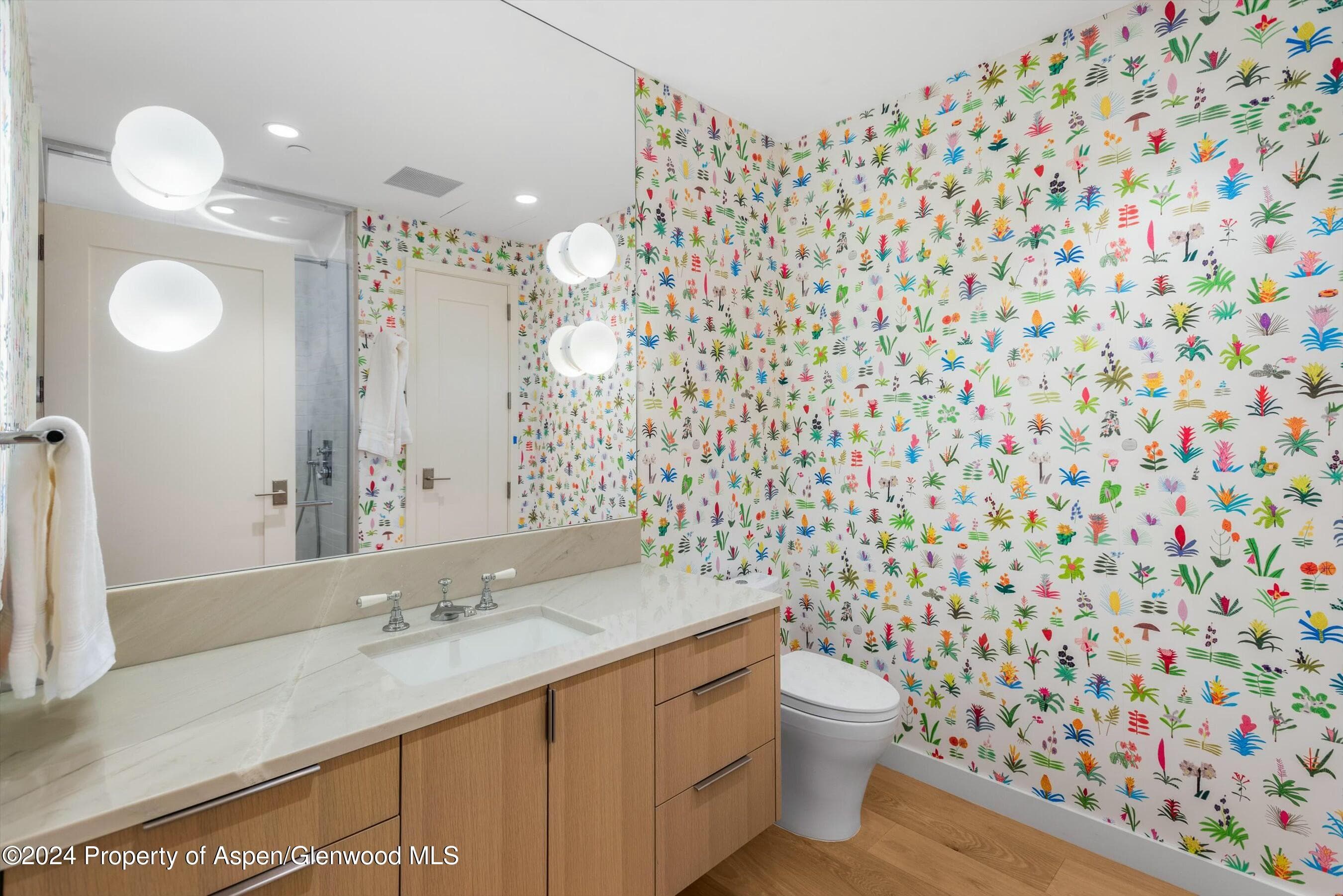 233 E Cooper Avenue 207, Aspen, CO 81611 - Photo 29