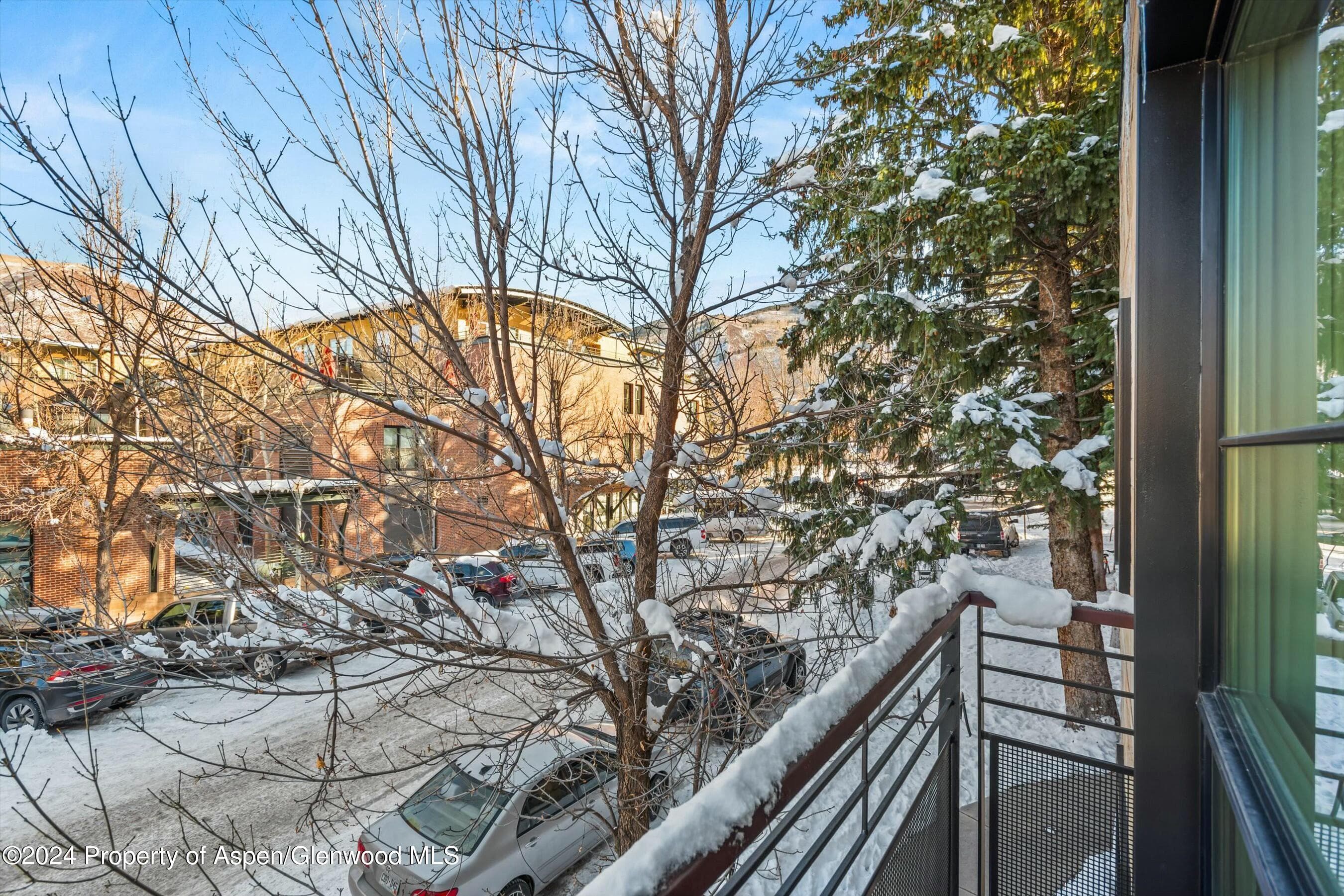 233 E Cooper Avenue 207, Aspen, CO 81611 - Photo 45