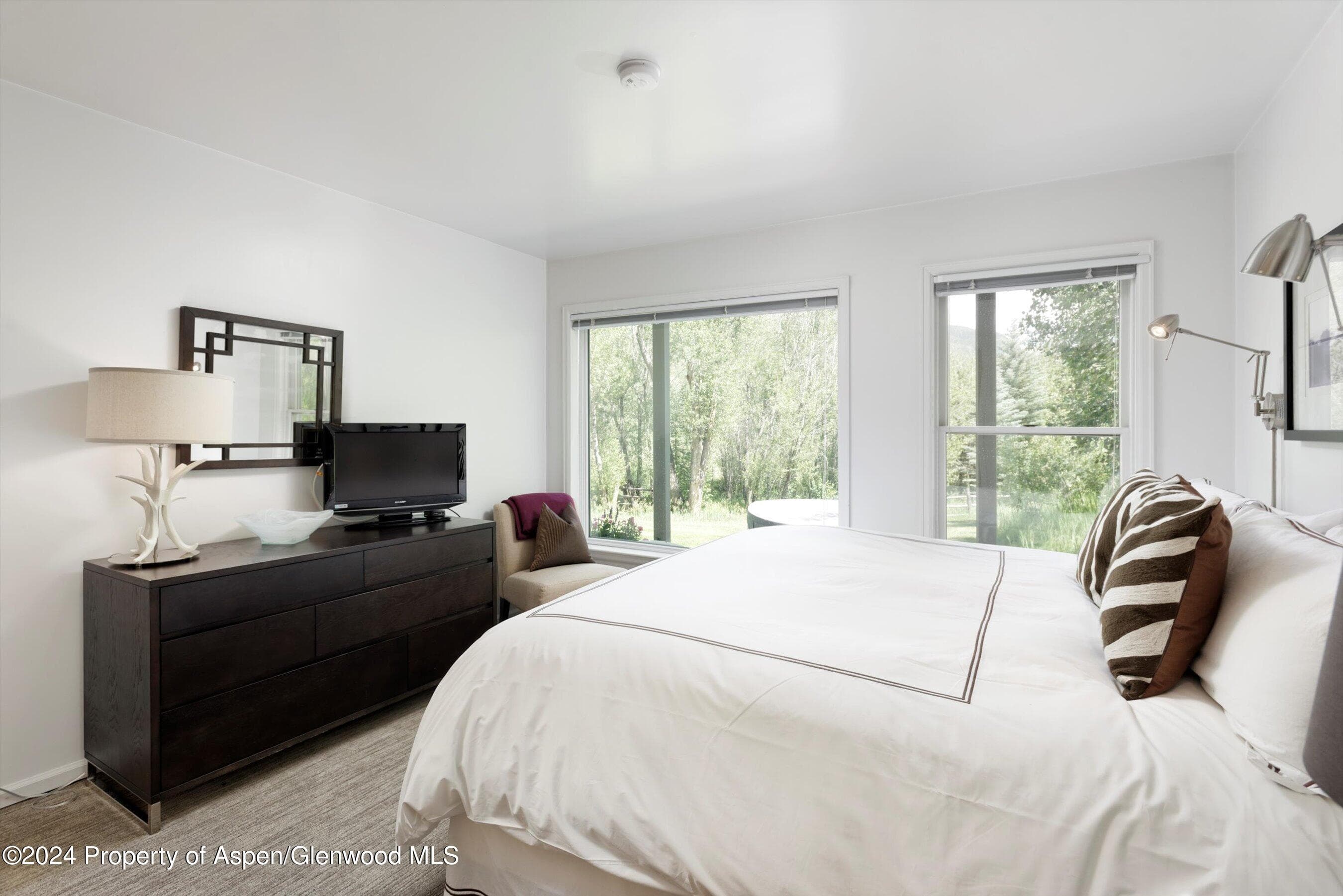 1500 Ute Avenue, Aspen, CO 81611 - Photo 14