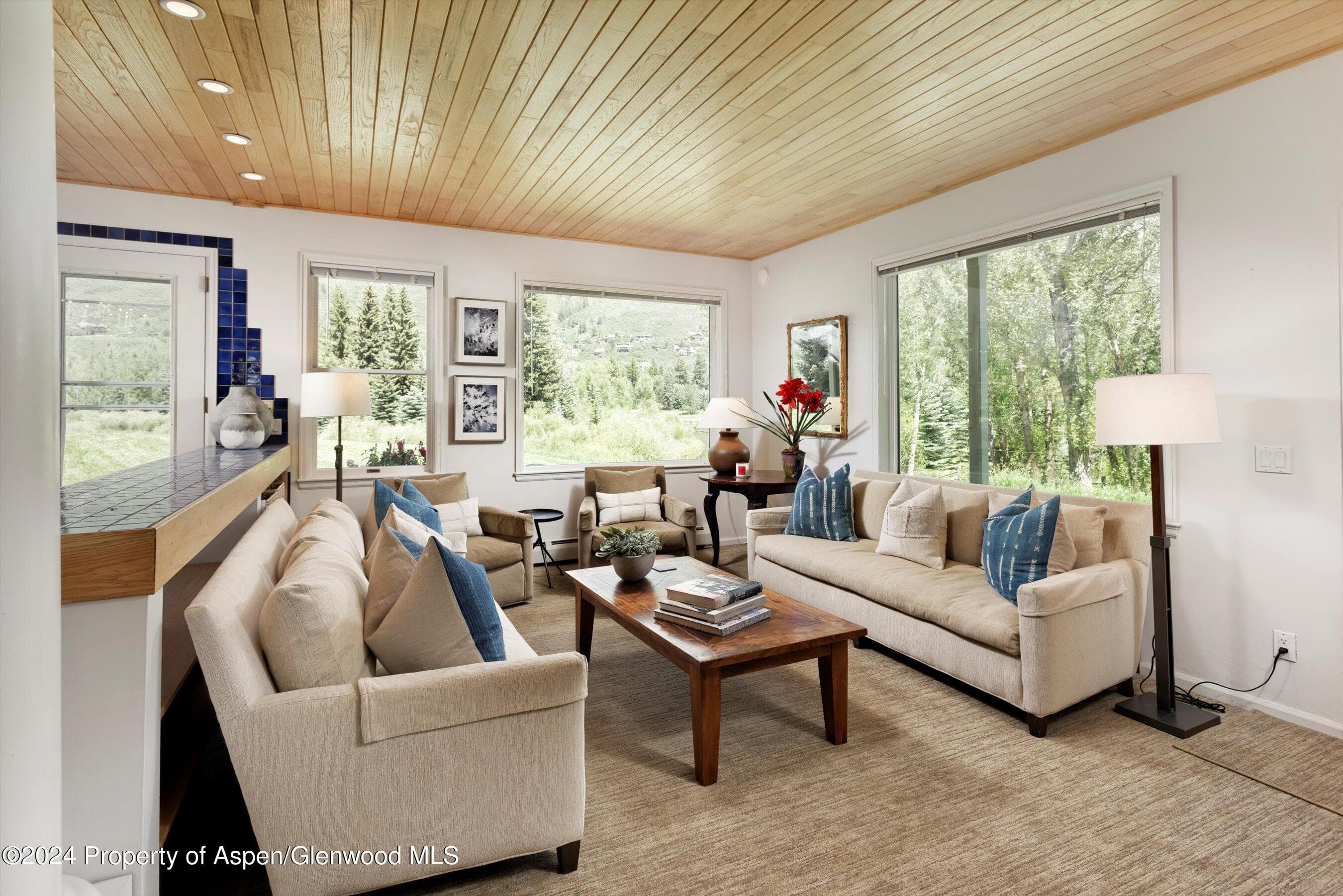 1500 Ute Avenue, Aspen, CO 81611 - Photo 7