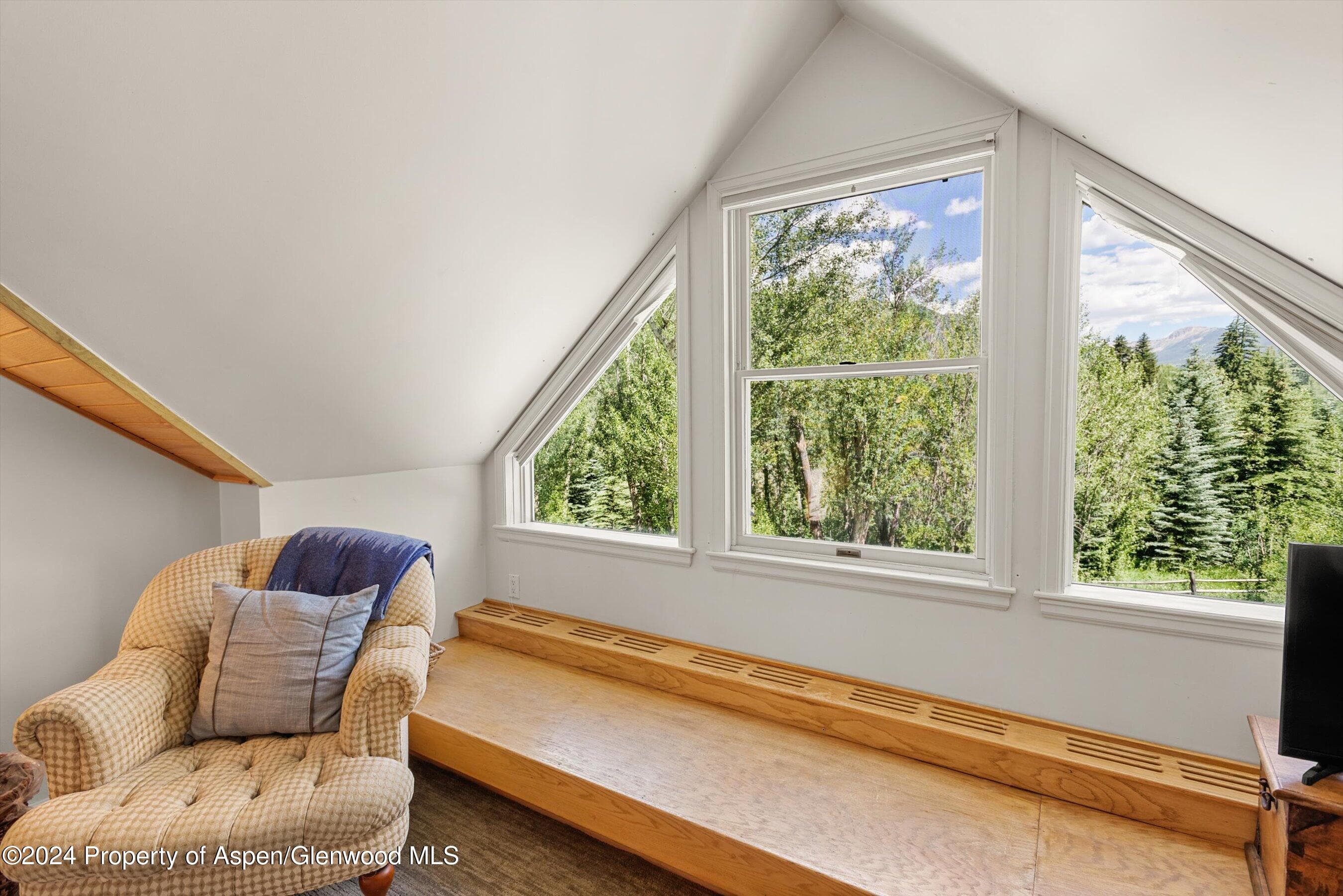1500 Ute Avenue, Aspen, CO 81611 - Photo 11
