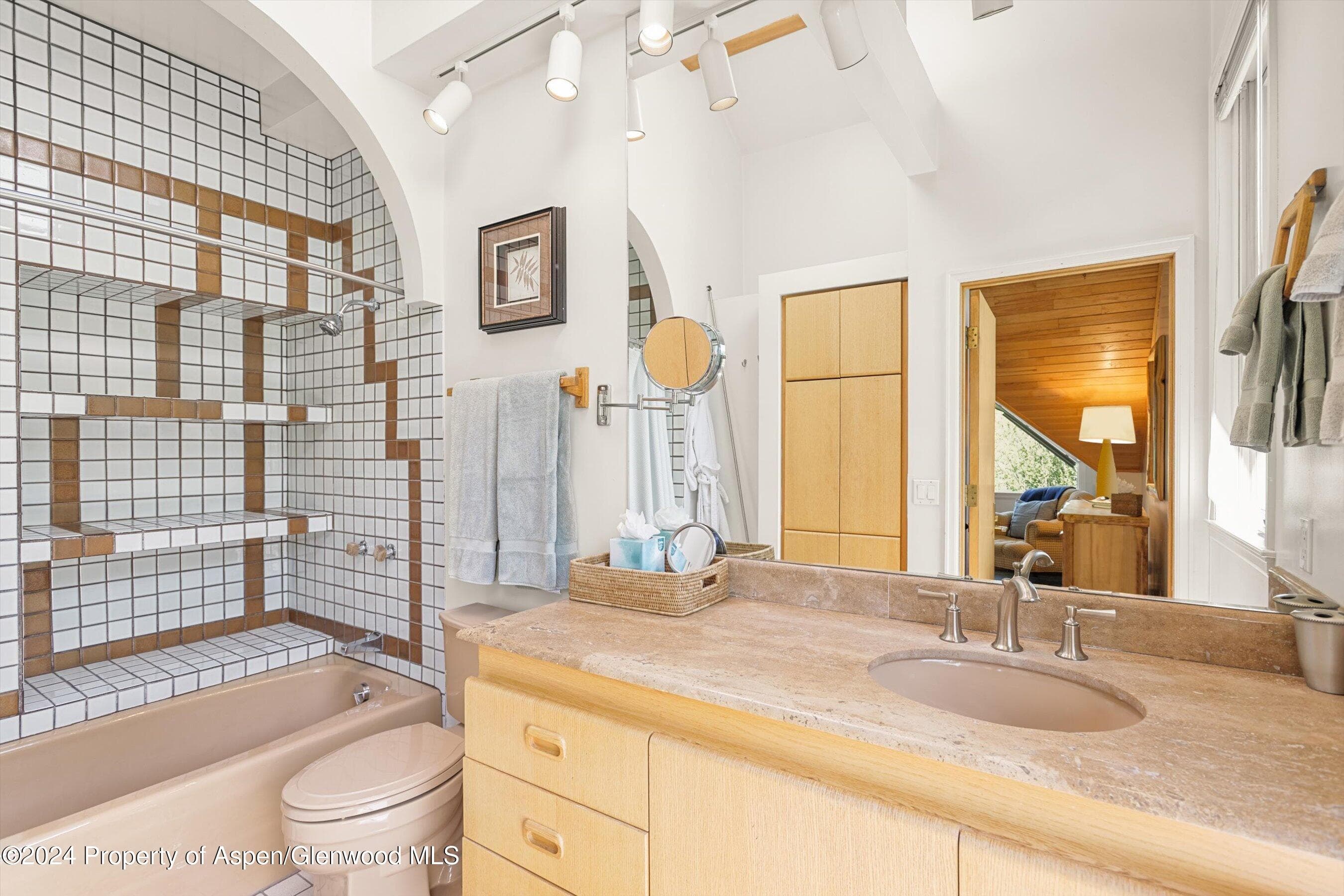 1500 Ute Avenue, Aspen, CO 81611 - Photo 15