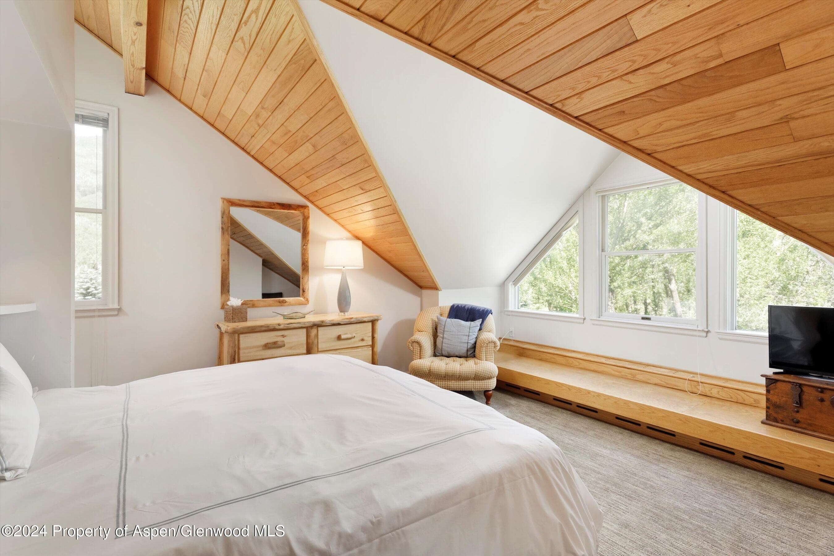 1500 Ute Avenue, Aspen, CO 81611 - Photo 16