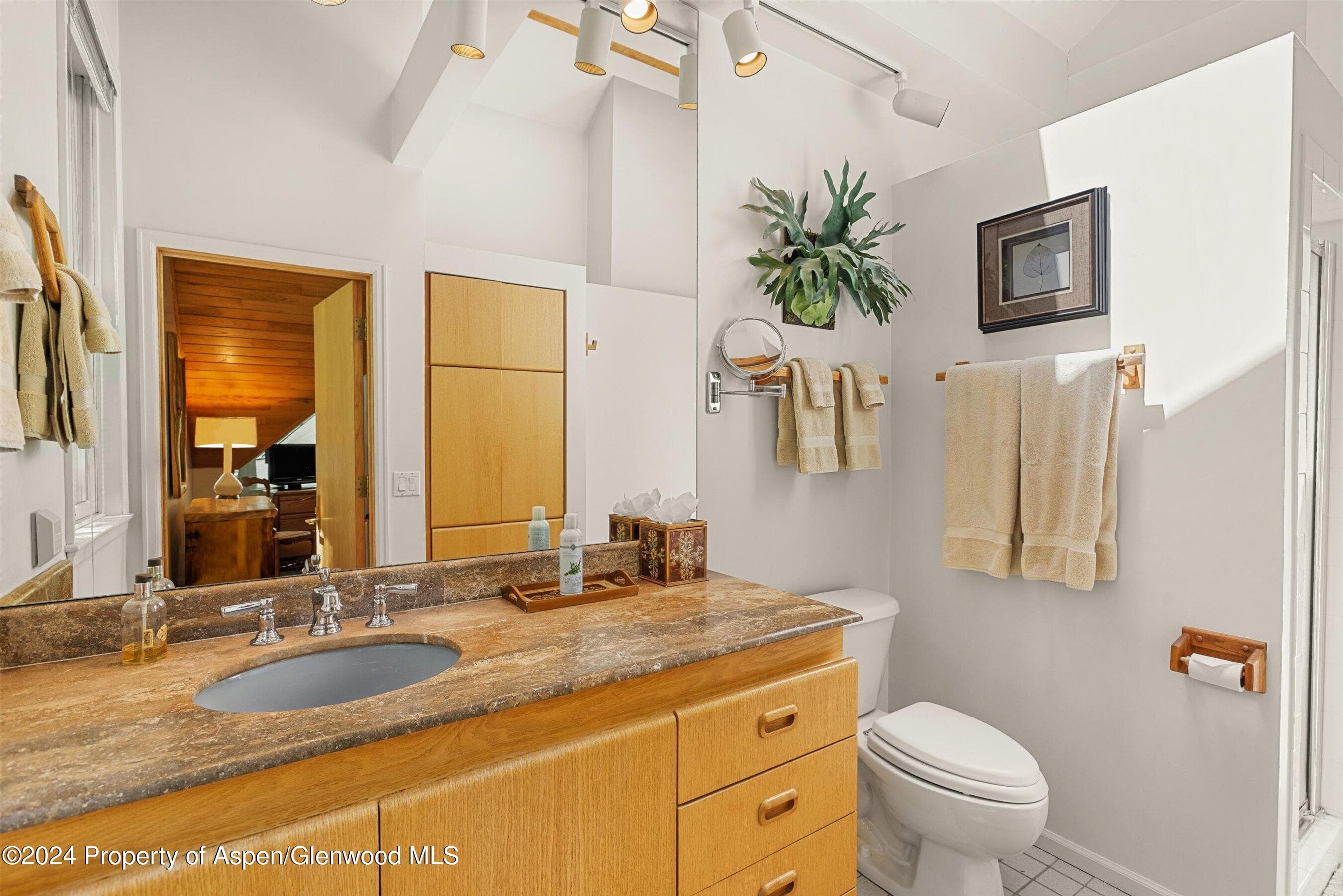 1500 Ute Avenue, Aspen, CO 81611 - Photo 17