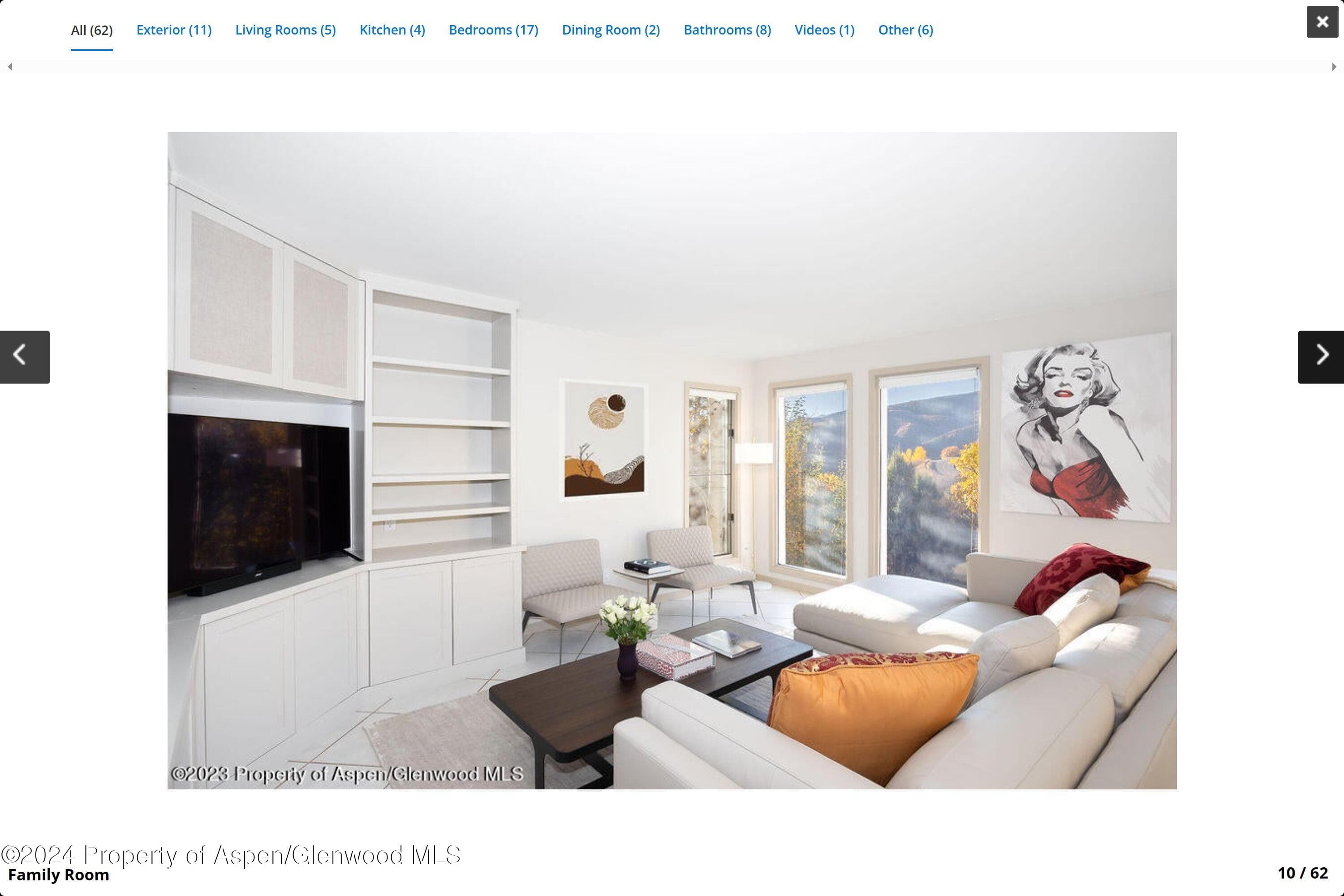 244 Medicine Bow Road, Aspen, CO 81611 - Photo 4