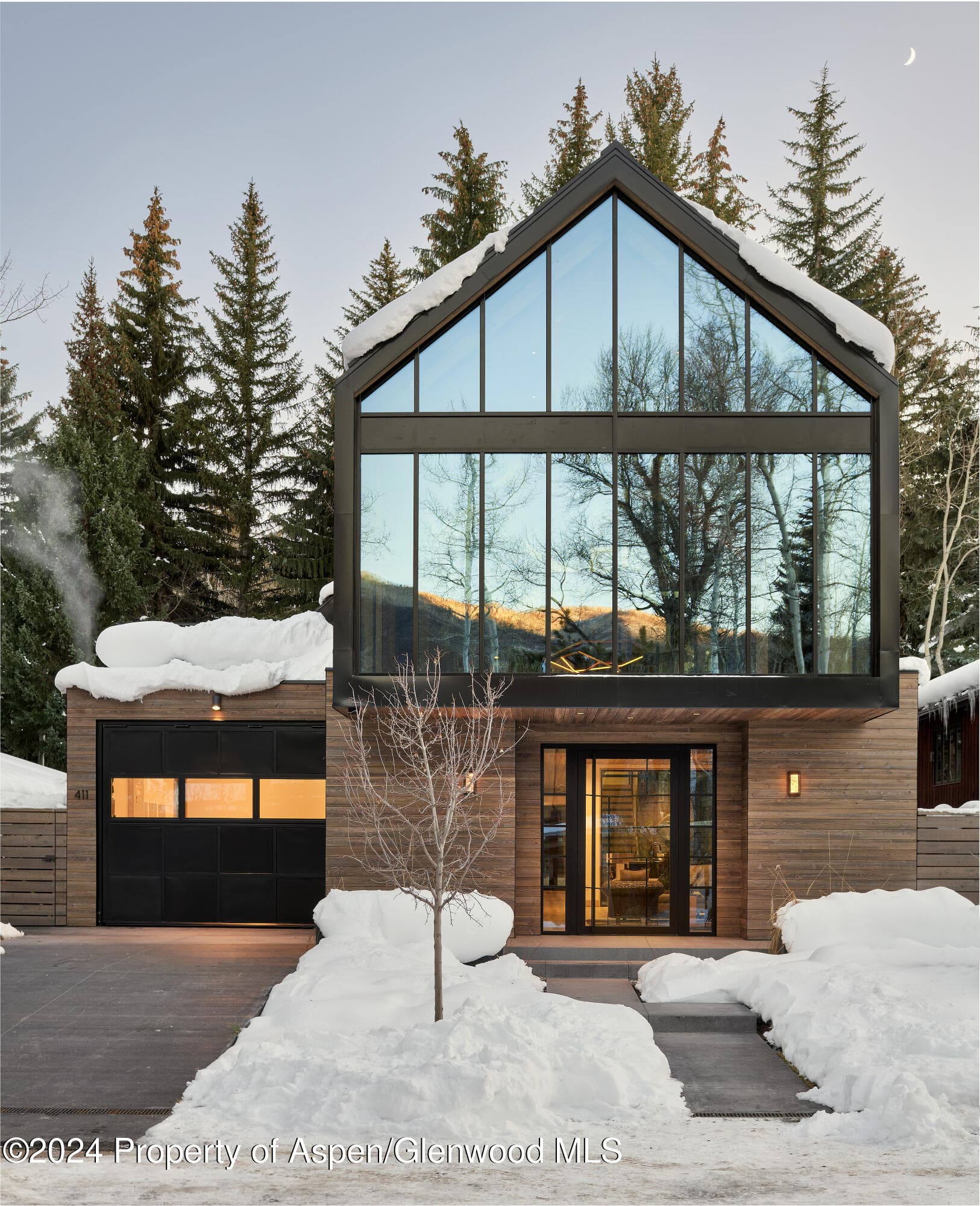 411 Pearl Court, Aspen, CO 81611 - Photo 2