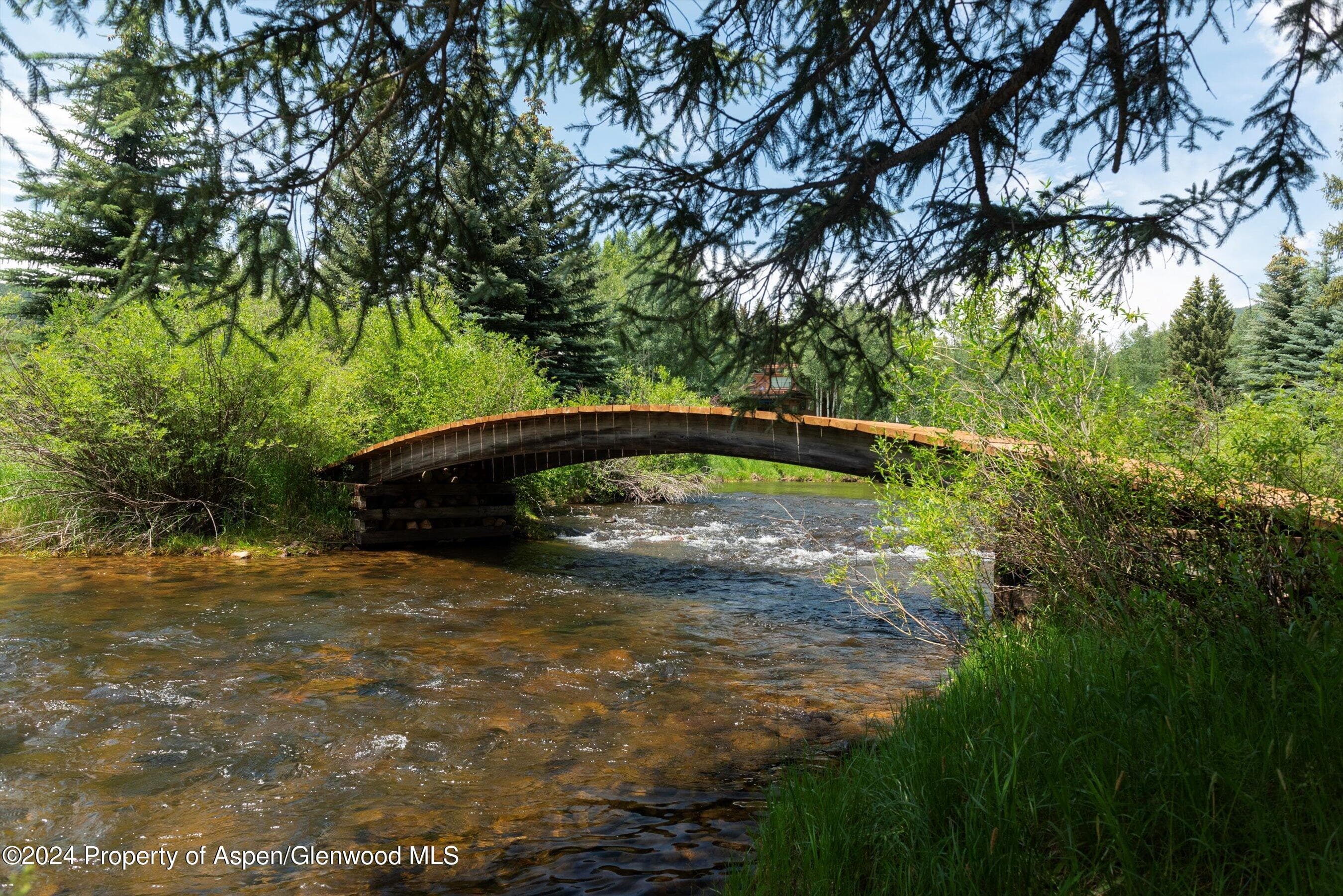 1449 Crystal Lake Road, Aspen, CO 81611 - Photo 4