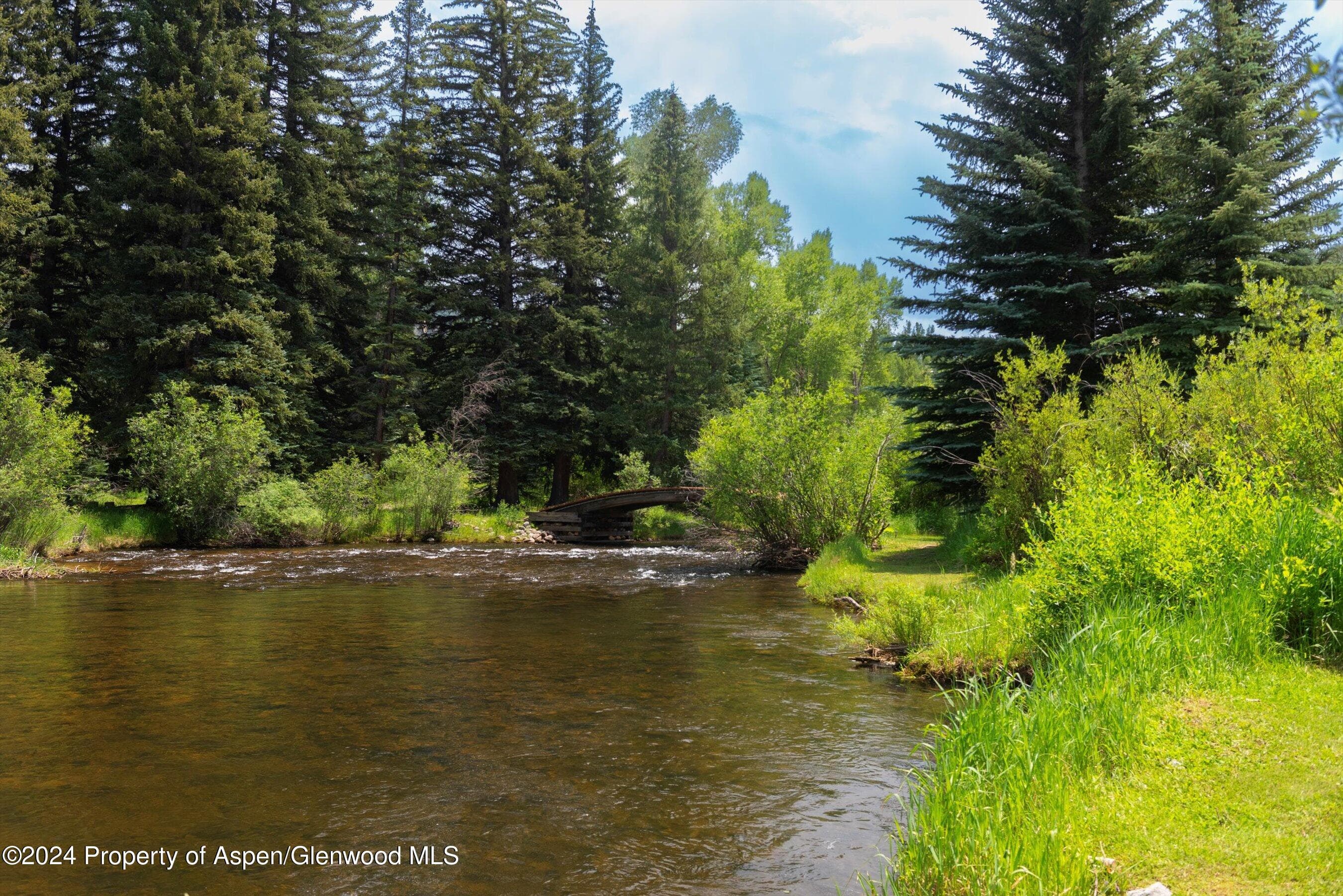 1449 Crystal Lake Road, Aspen, CO 81611 - Photo 68