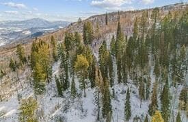 Lot 4 Bear Lane, Glenwood Springs, CO 81601 - Photo 6