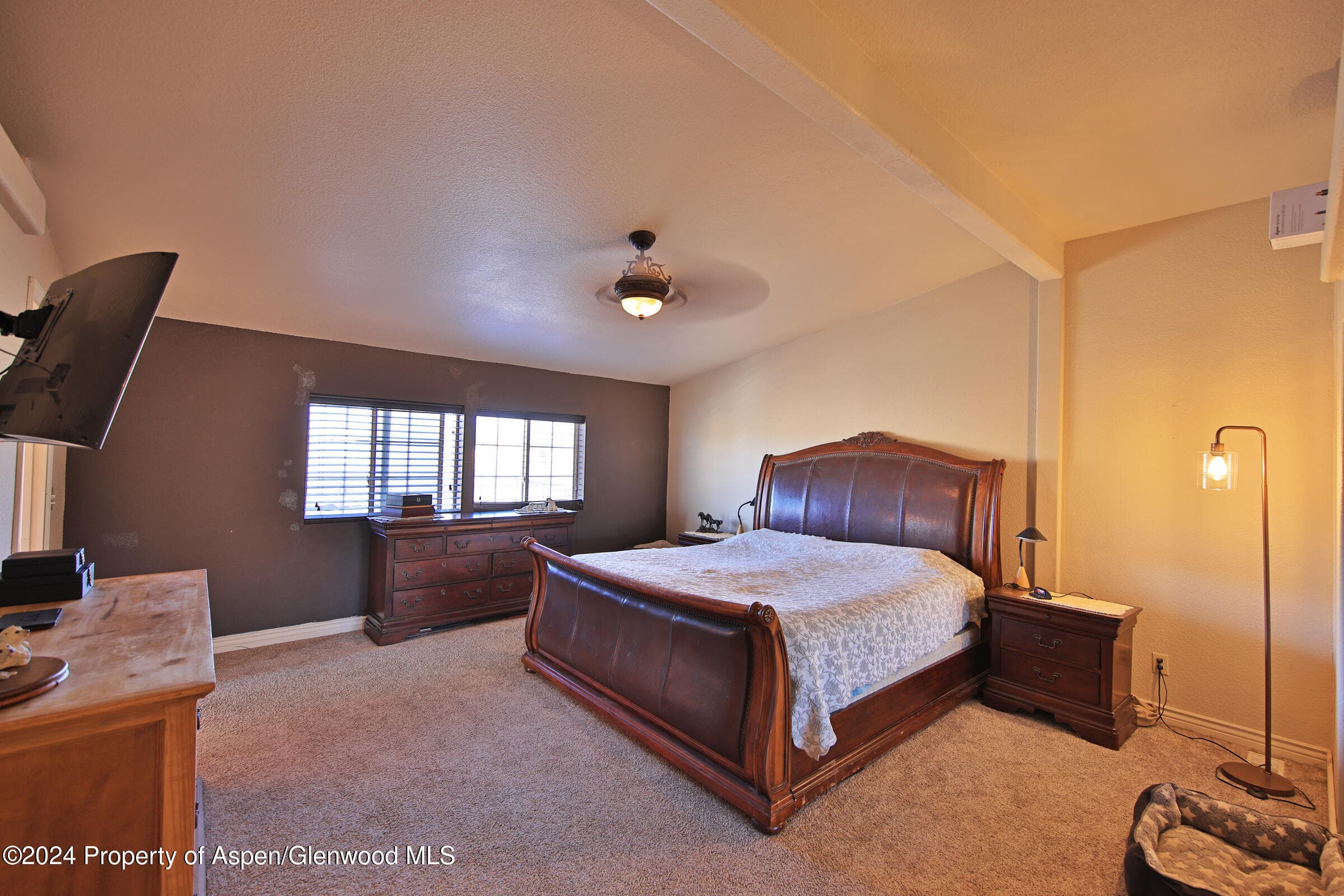 13011 Alboe Lane, Eckert, CO 81418 - Photo 10