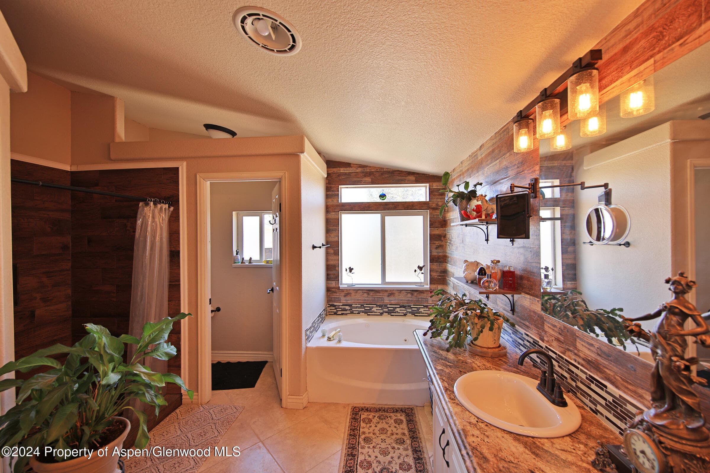 13011 Alboe Lane, Eckert, CO 81418 - Photo 11