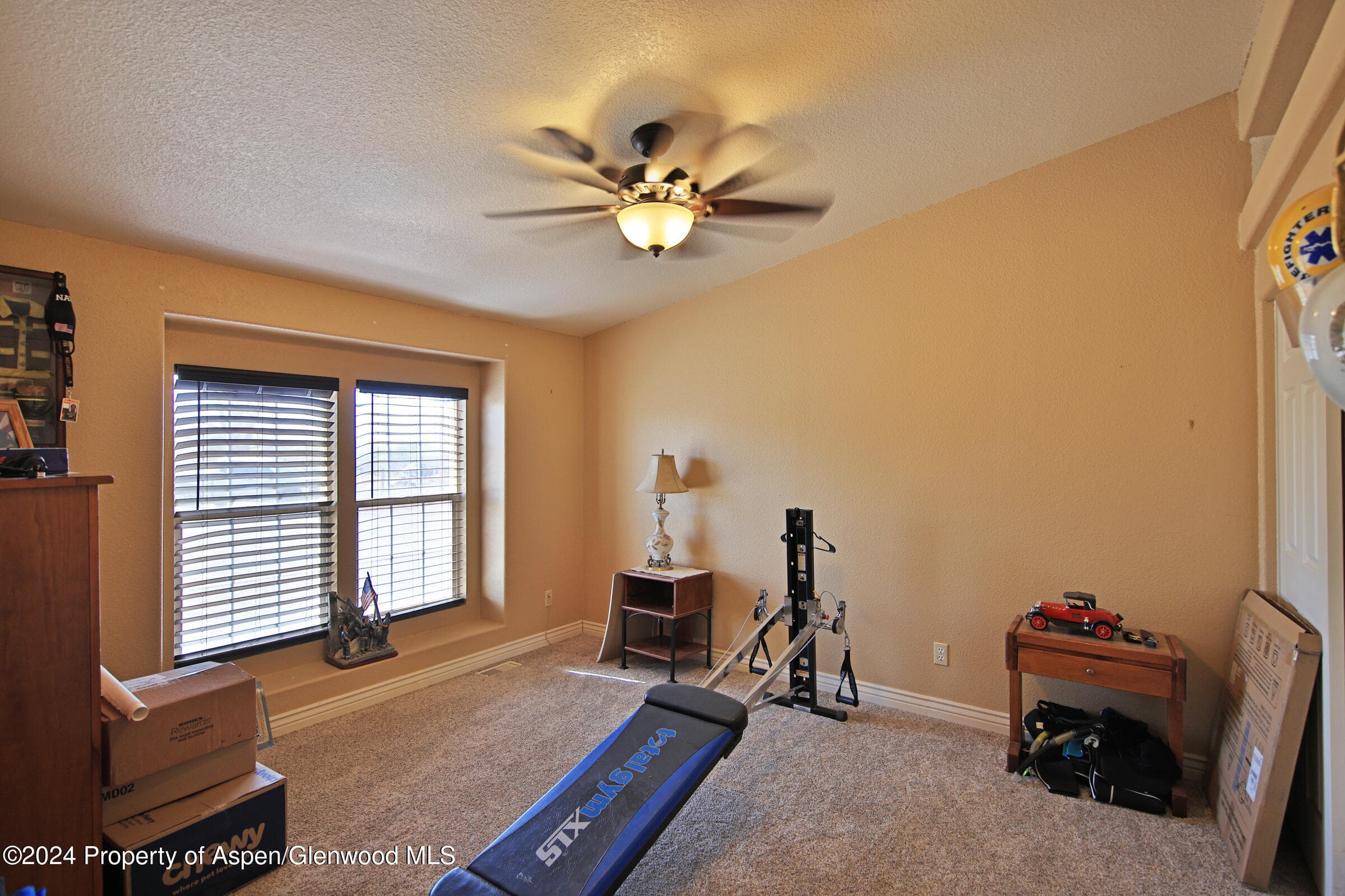 13011 Alboe Lane, Eckert, CO 81418 - Photo 14