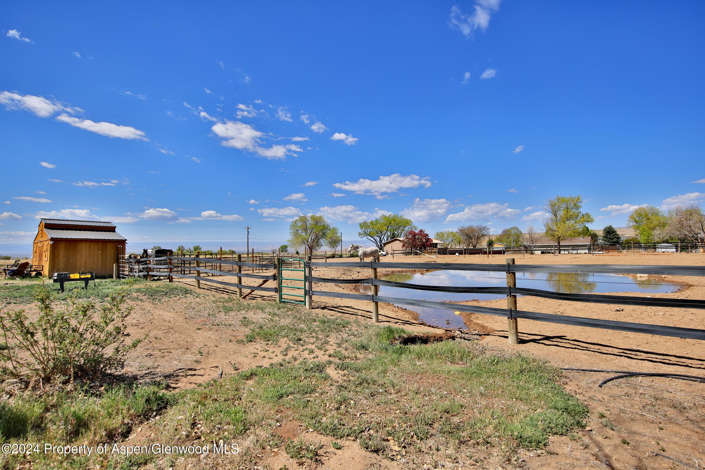13011 Alboe Lane, Eckert, CO 81418 - Photo 23