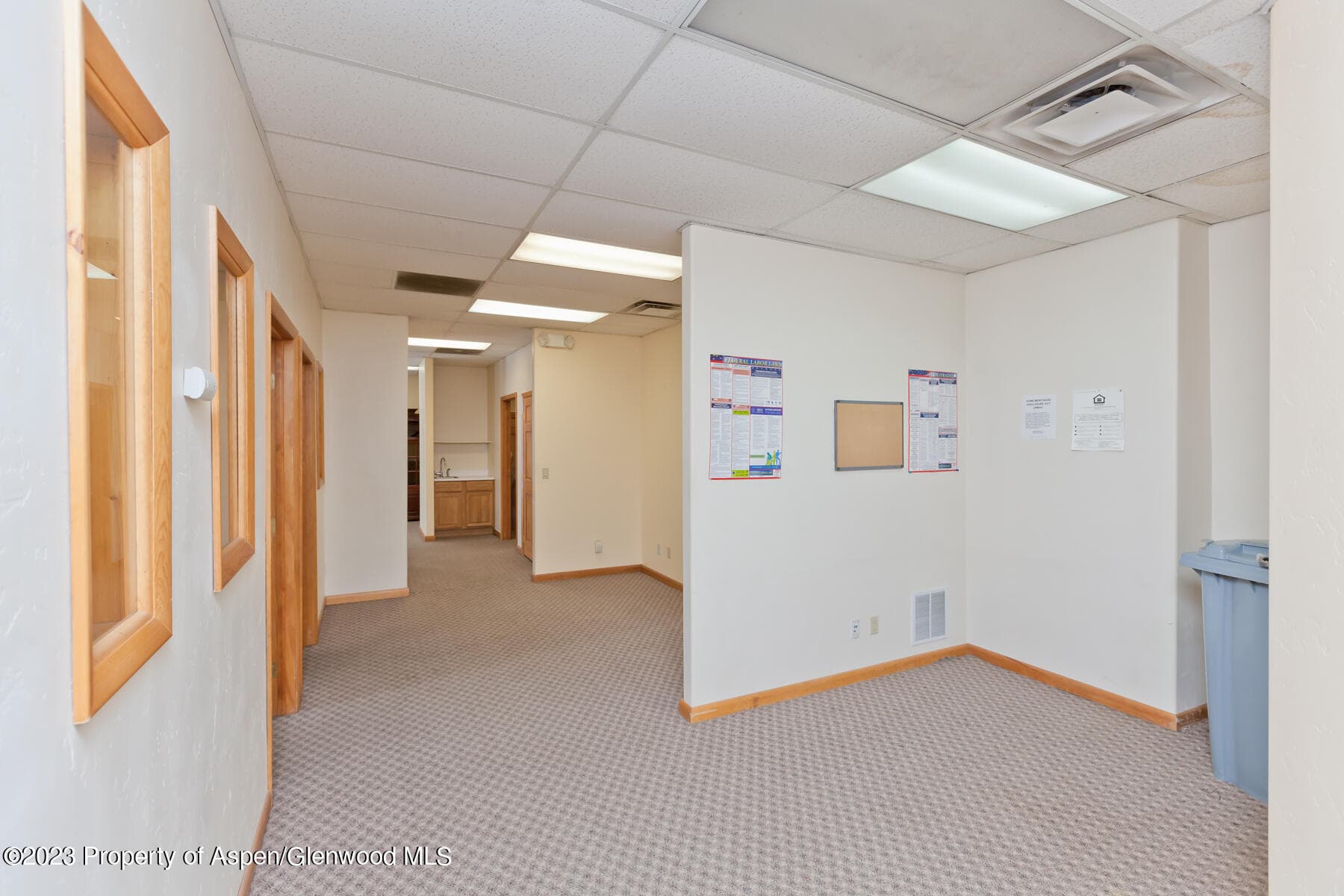 11 E Victory Way, Craig, CO 81625 - Photo 29