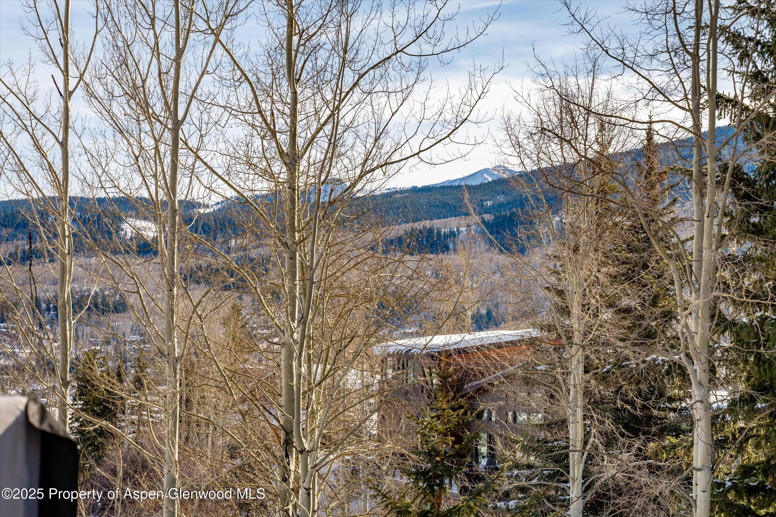 328 Oak Ridge Road, Snowmass Village, CO 81615 - Photo 28