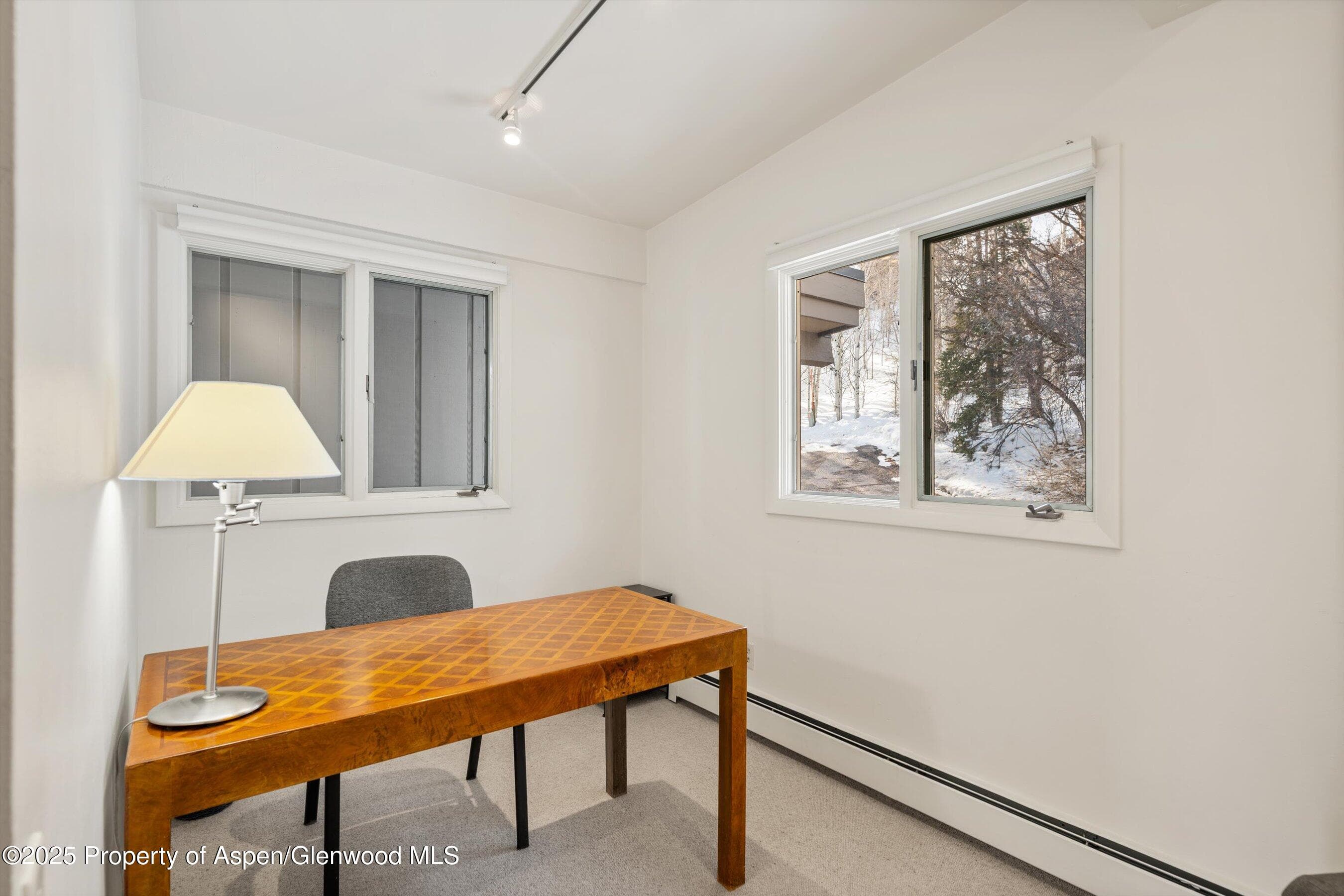 328 Oak Ridge Road, Snowmass Village, CO 81615 - Photo 24