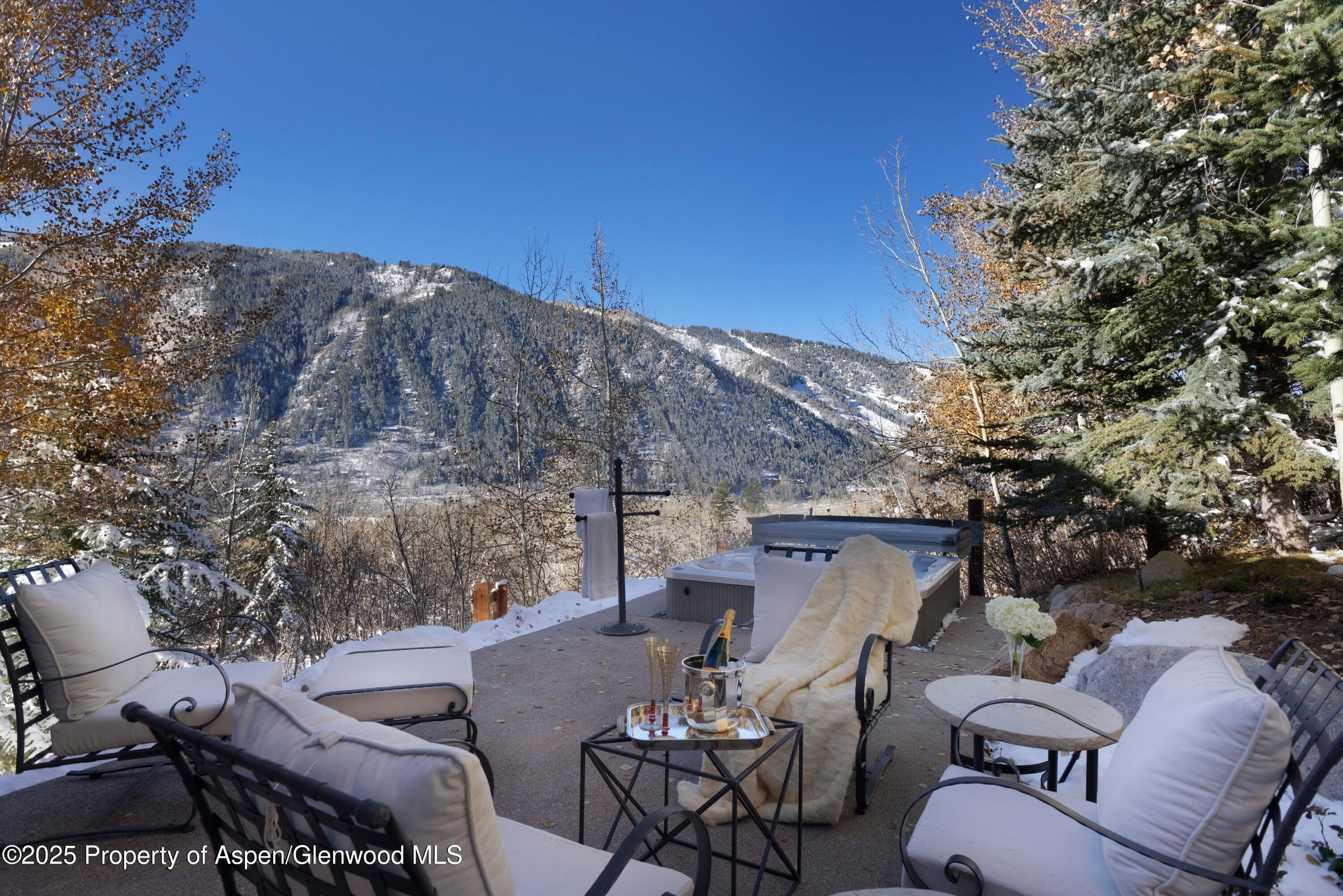 549 Mountain Laurel Drive, Aspen, CO 81611 - Photo 2
