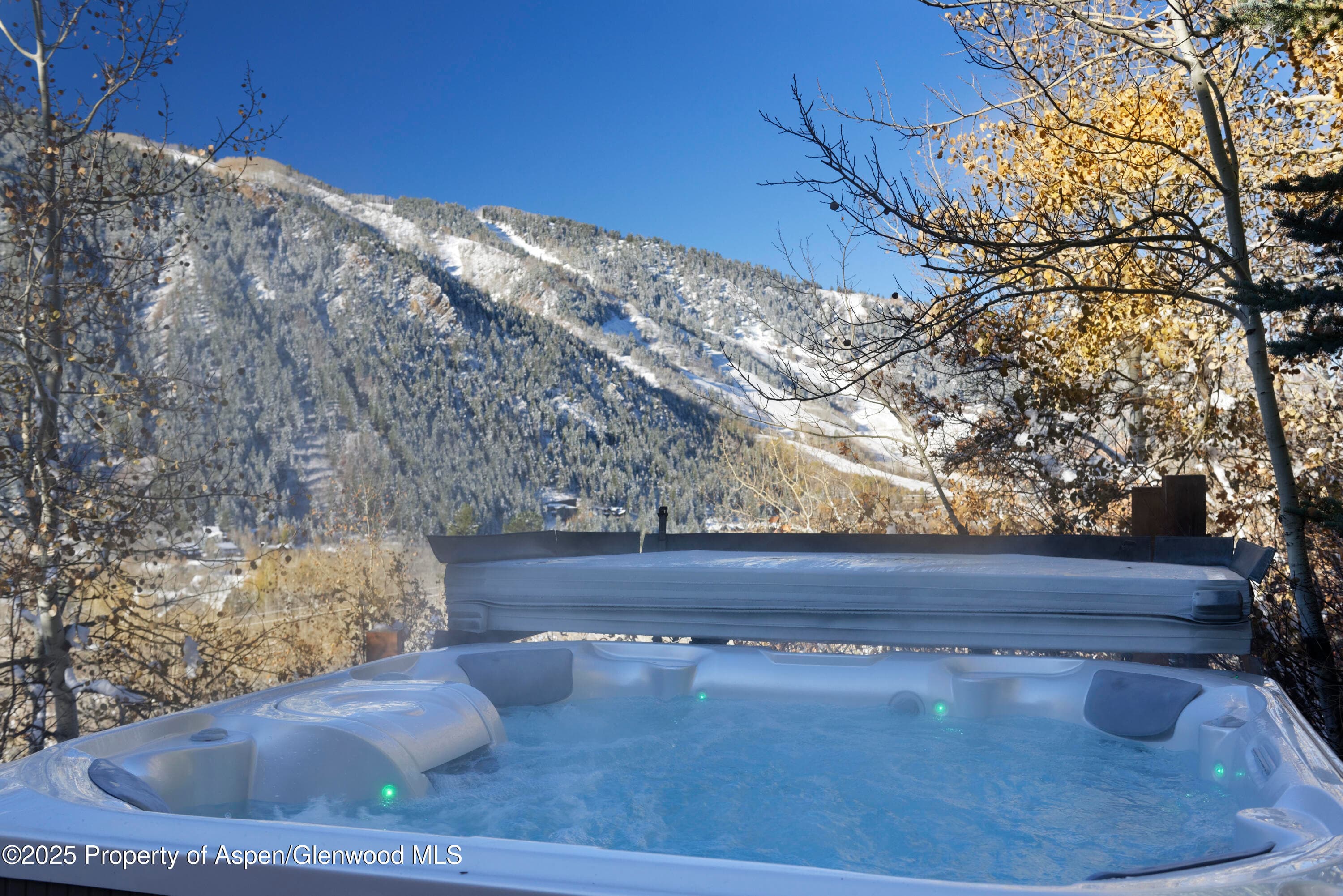 549 Mountain Laurel Drive, Aspen, CO 81611 - Photo 4