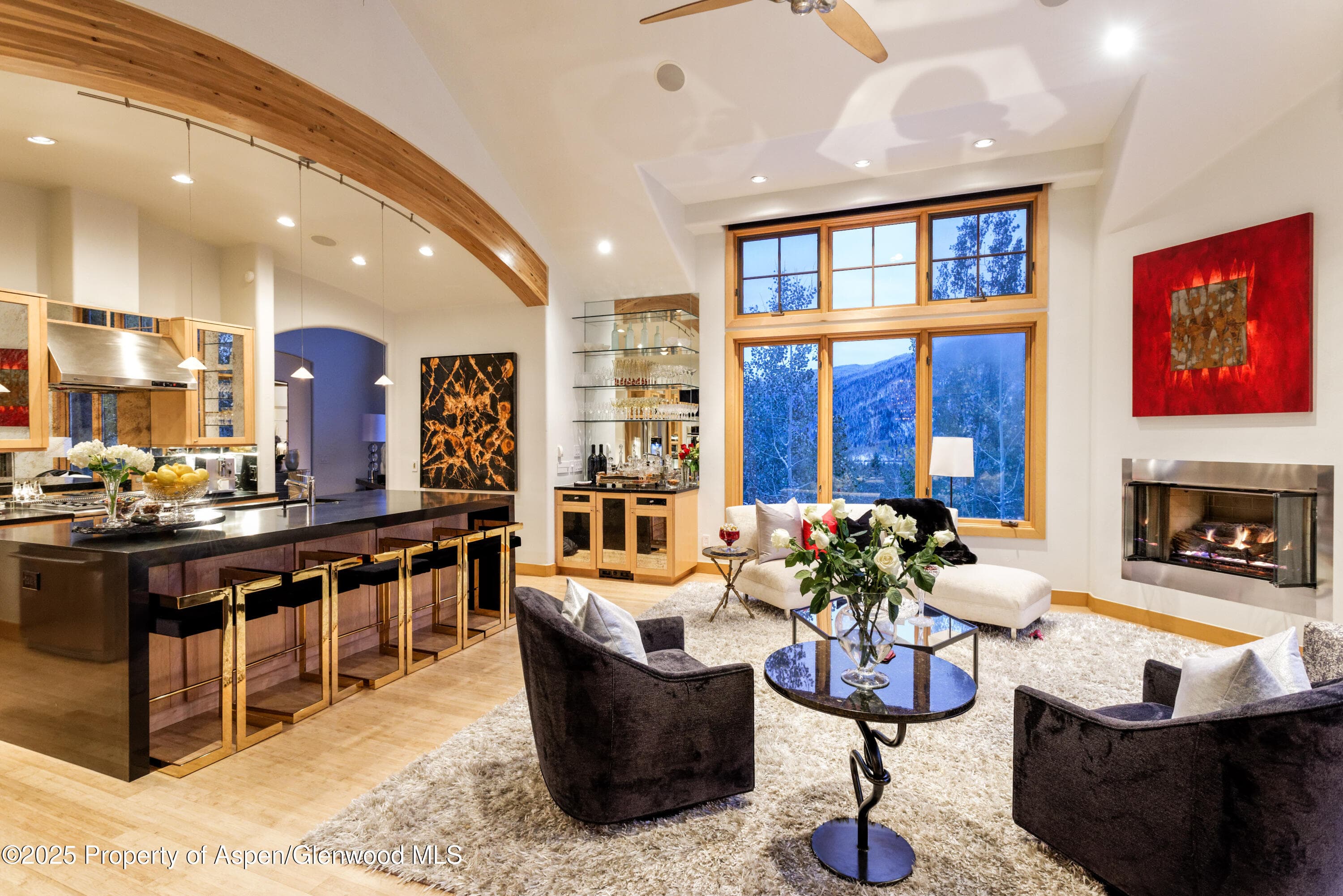 549 Mountain Laurel Drive, Aspen, CO 81611 - Photo 10