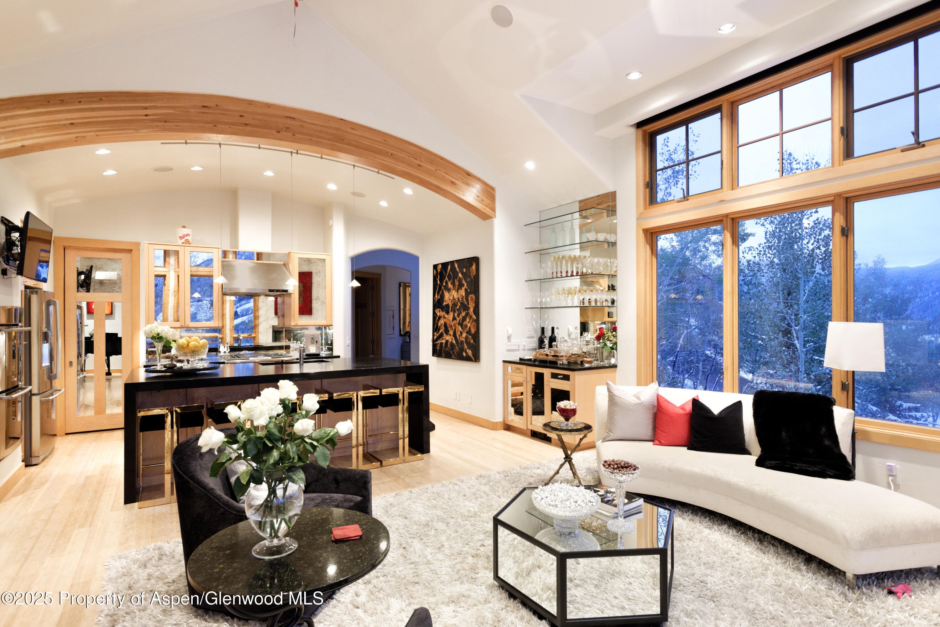 549 Mountain Laurel Drive, Aspen, CO 81611 - Photo 11
