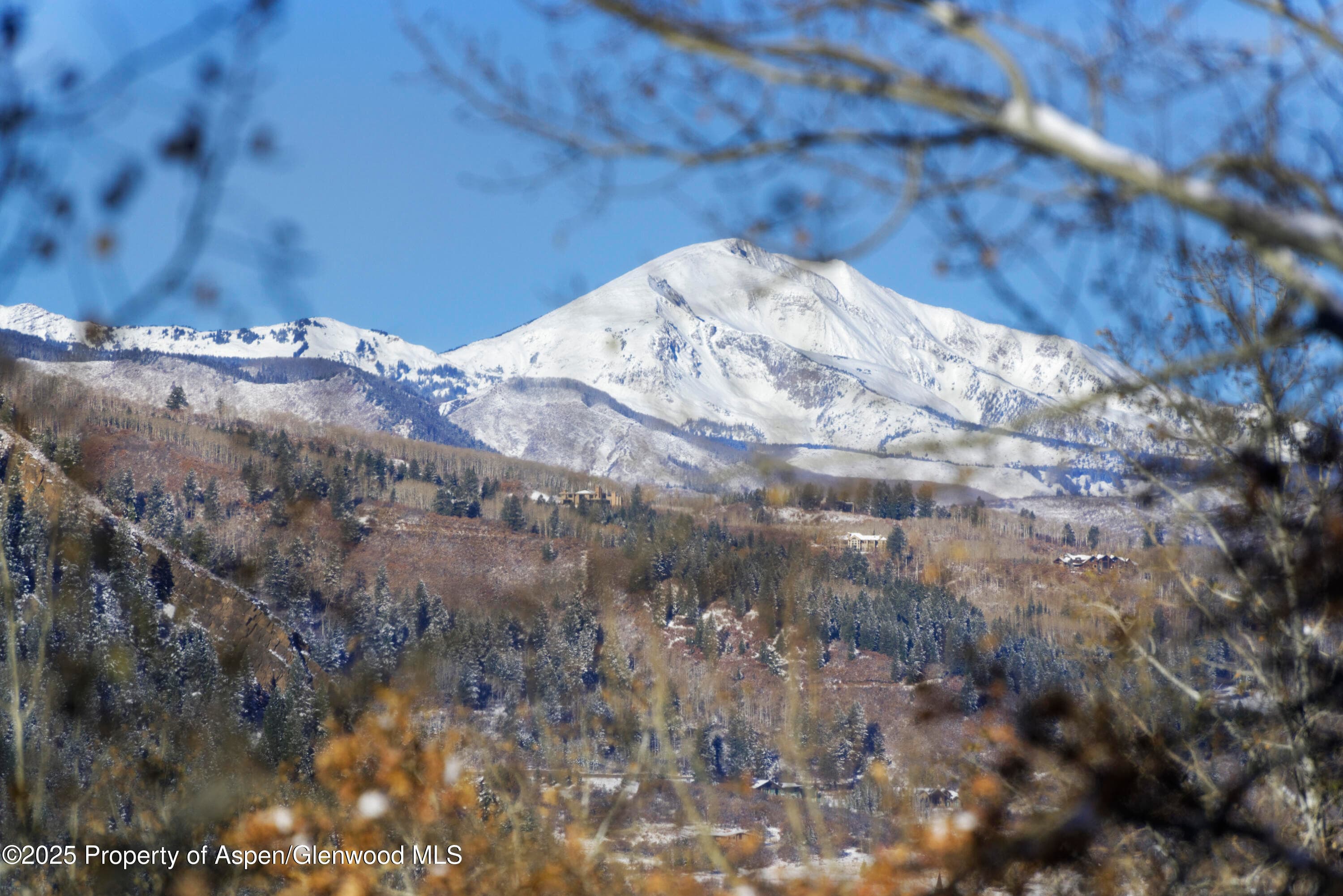 549 Mountain Laurel Drive, Aspen, CO 81611 - Photo 17