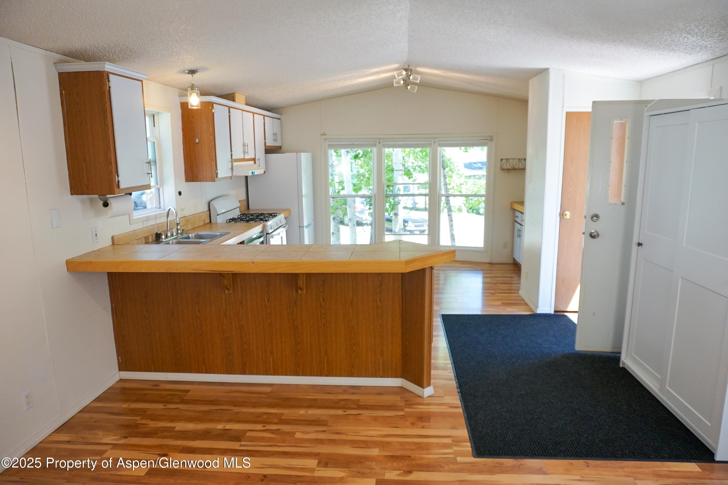 91 WILDCAT, Aspen, CO 81611 - Photo 4