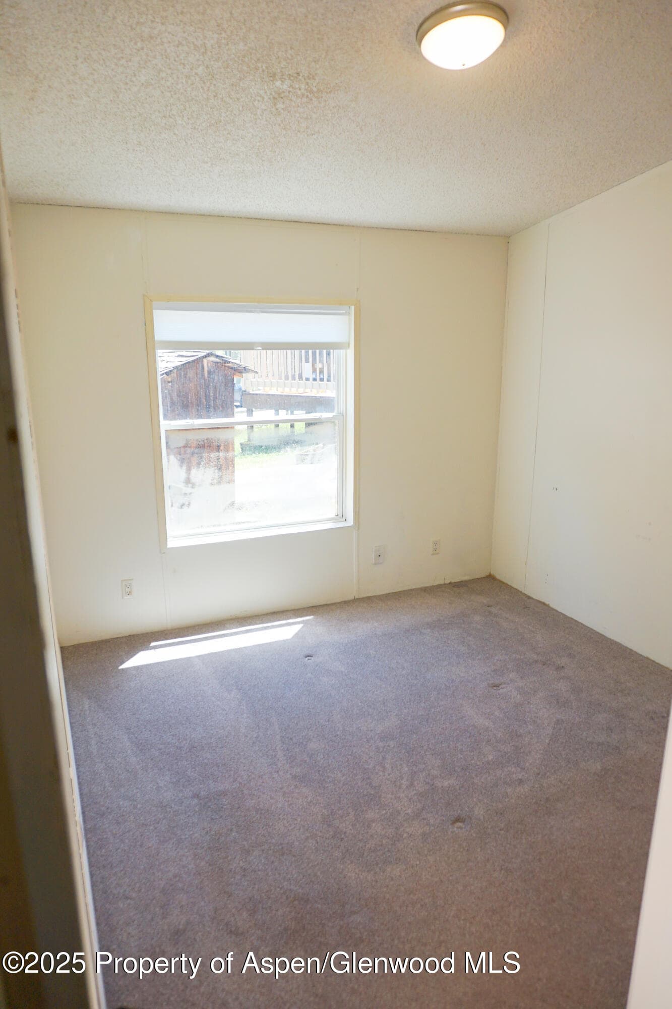 91 WILDCAT, Aspen, CO 81611 - Photo 8