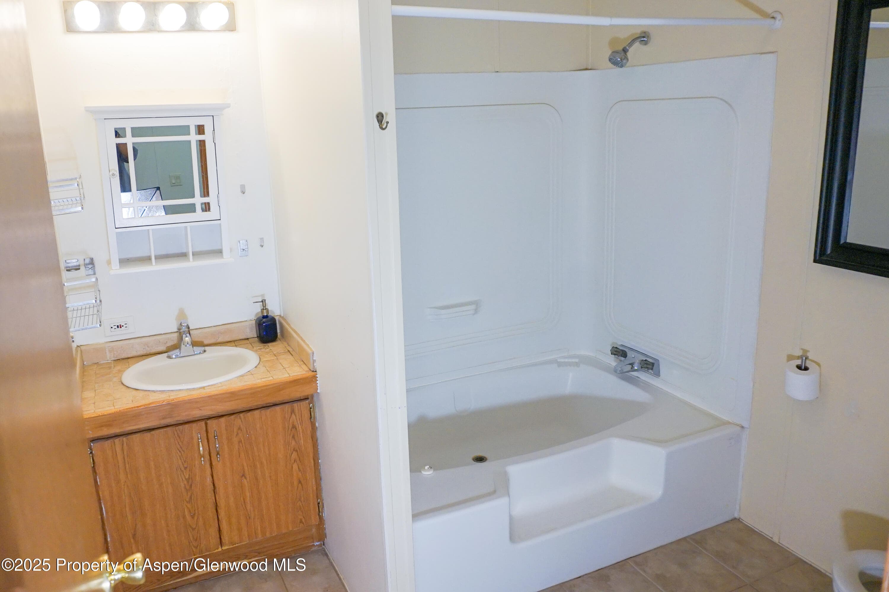 91 WILDCAT, Aspen, CO 81611 - Photo 11