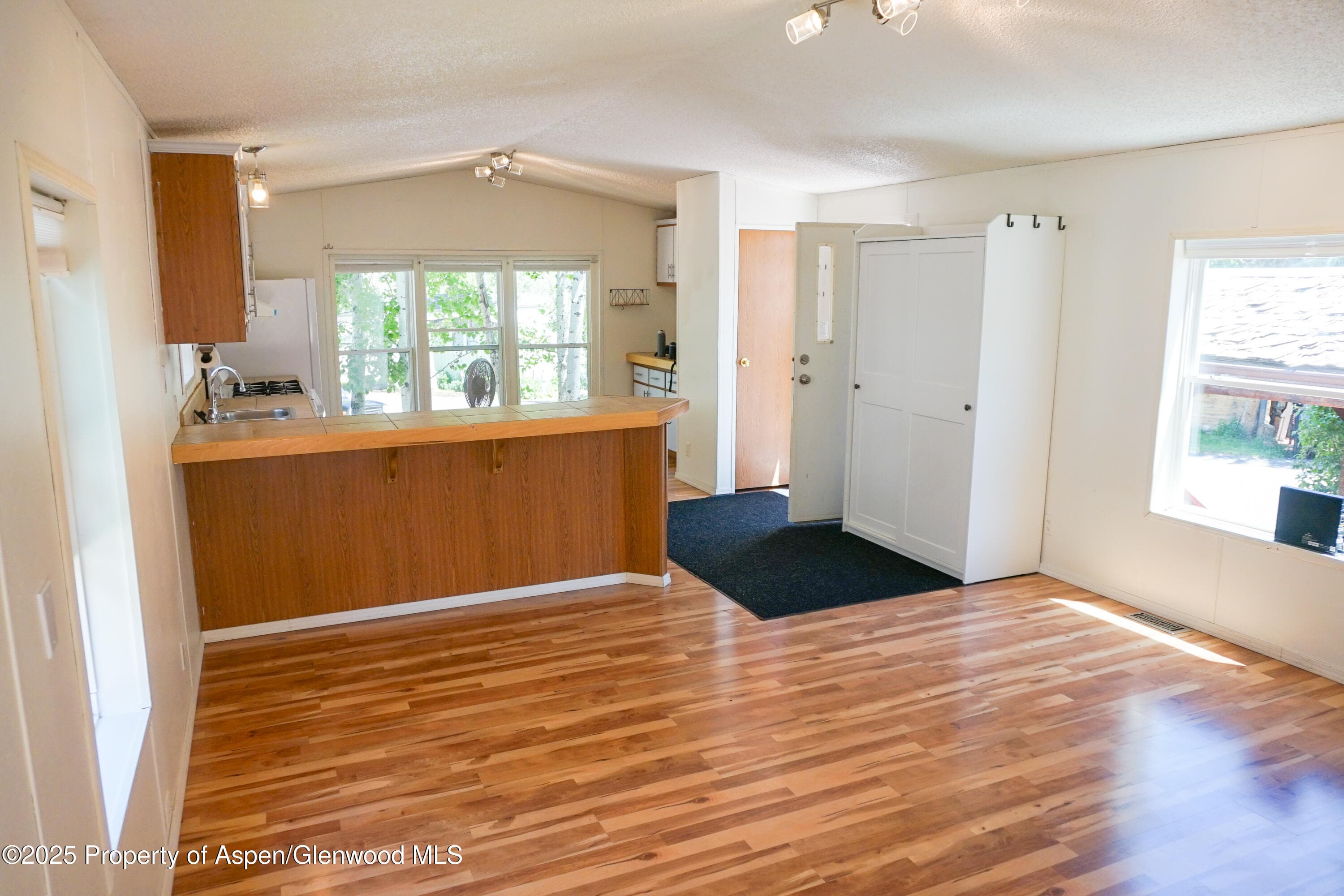 91 WILDCAT, Aspen, CO 81611 - Photo 13