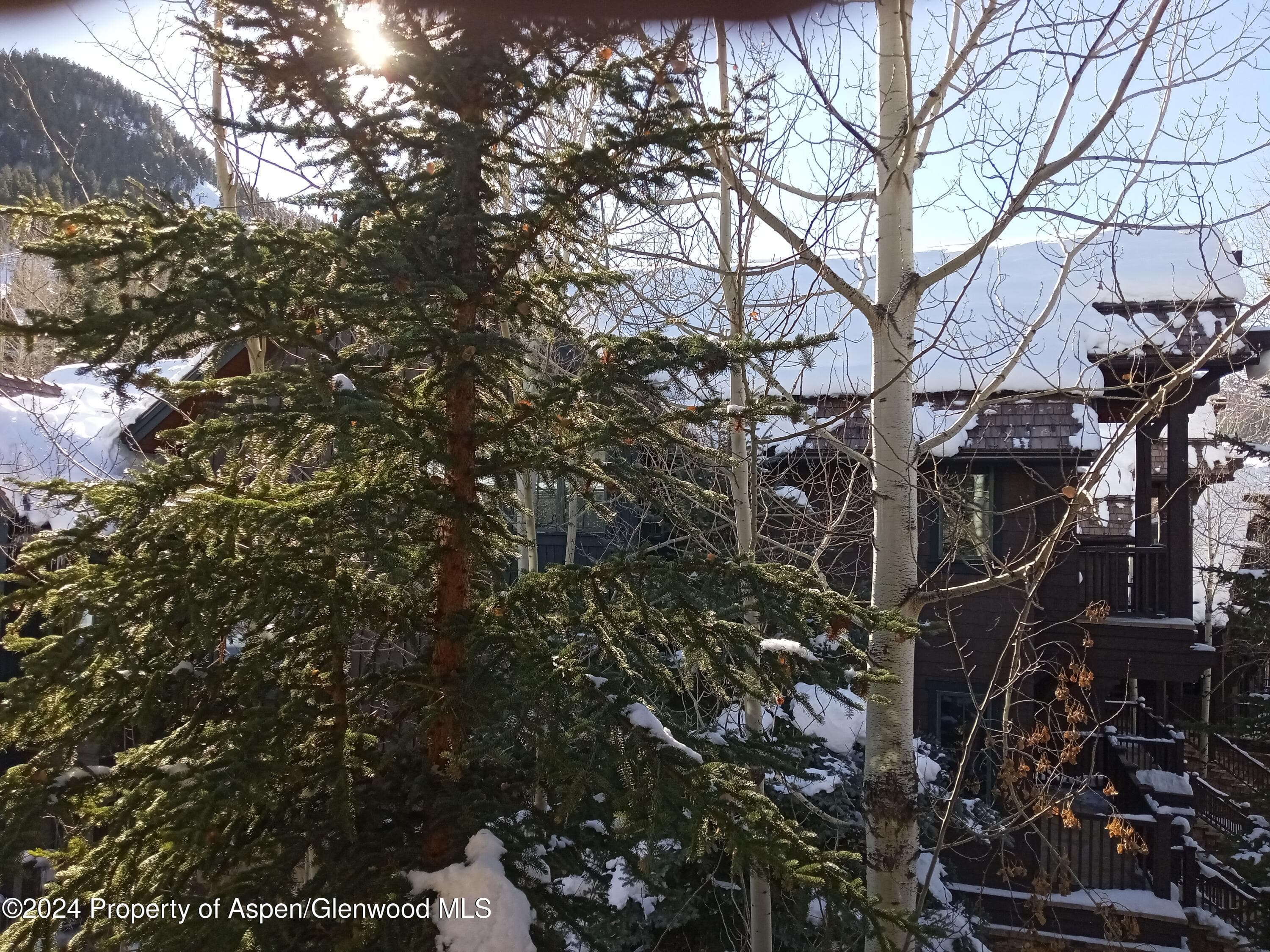 0075 Prospector Road Unit 8206 Summer Interest 12, Aspen, CO 81611 - Photo 18