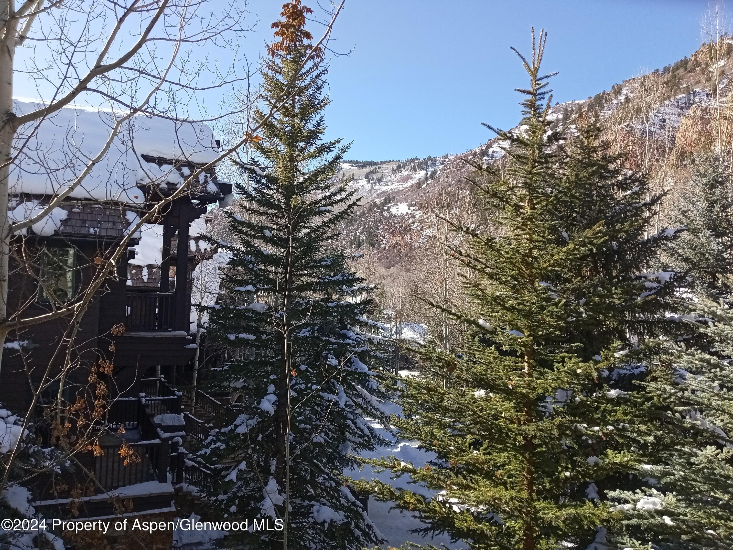 0075 Prospector Road Unit 8206 Summer Interest 12, Aspen, CO 81611 - Photo 19