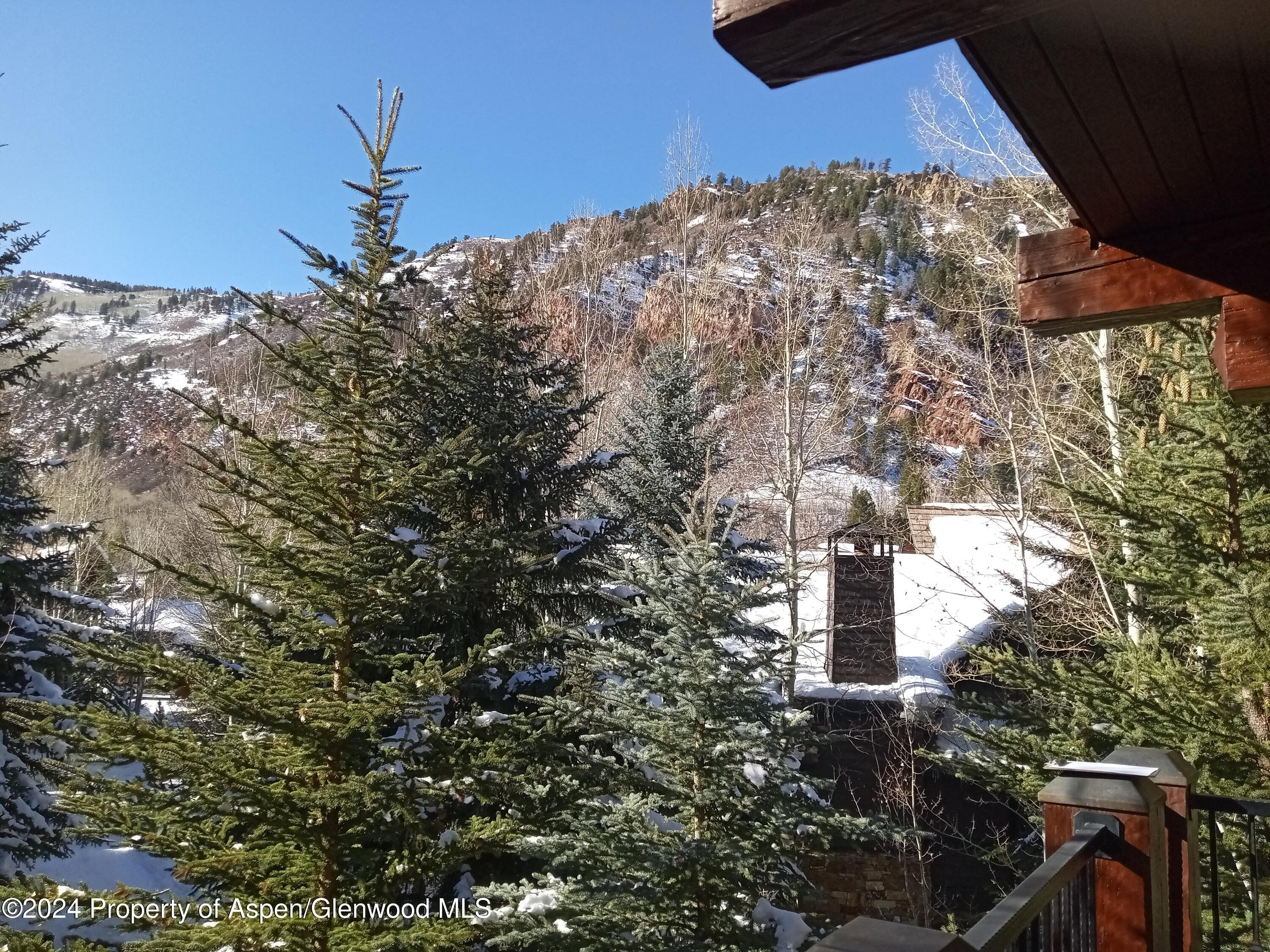 0075 Prospector Road Unit 8206 Summer Interest 12, Aspen, CO 81611 - Photo 20