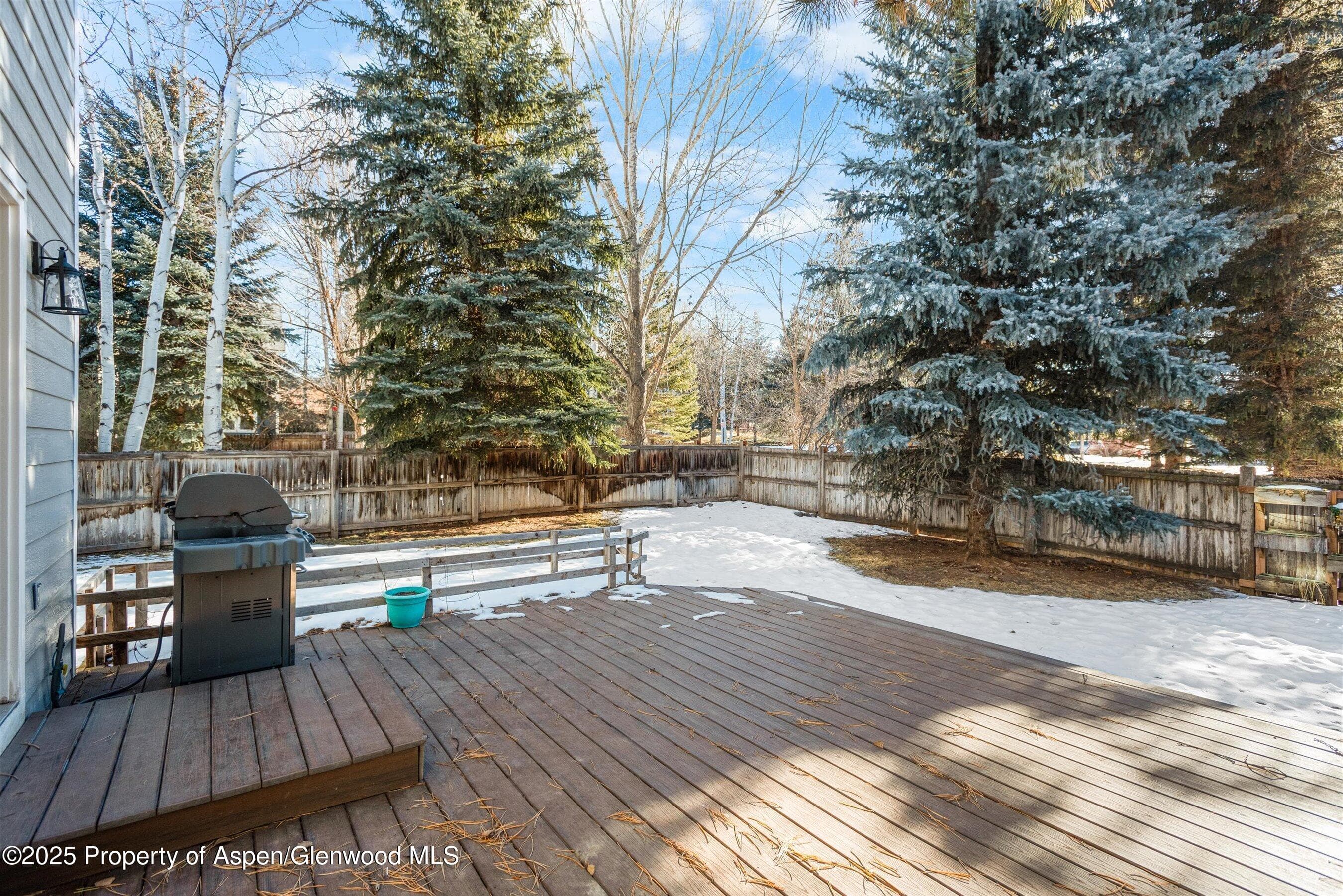 50 Ferguson Drive, Carbondale, CO 81623 - Photo 29