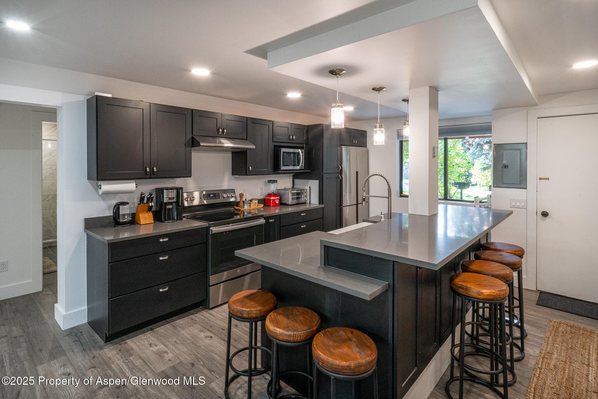 1316 Vine Street, Aspen, CO 81611 - Photo 8