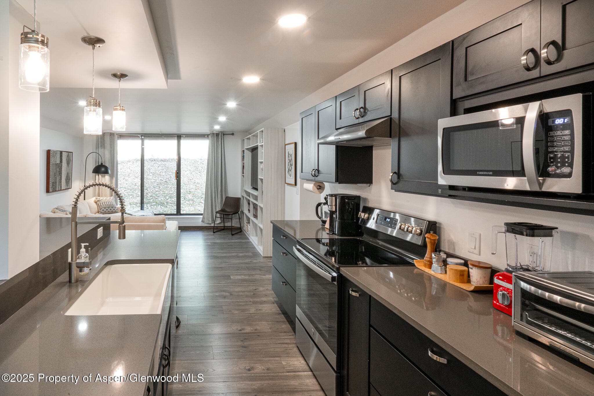 1316 Vine Street, Aspen, CO 81611 - Photo 7