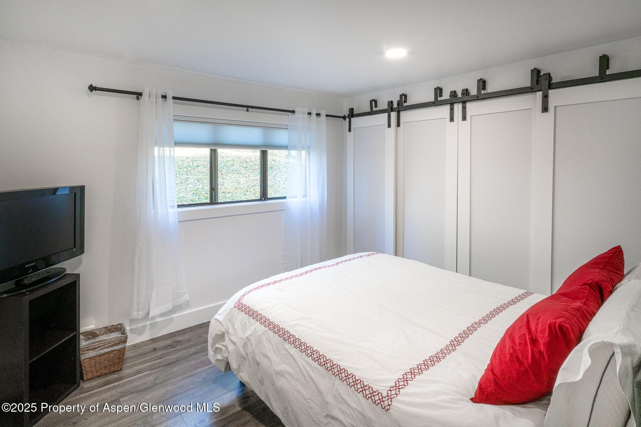 1316 Vine Street, Aspen, CO 81611 - Photo 13