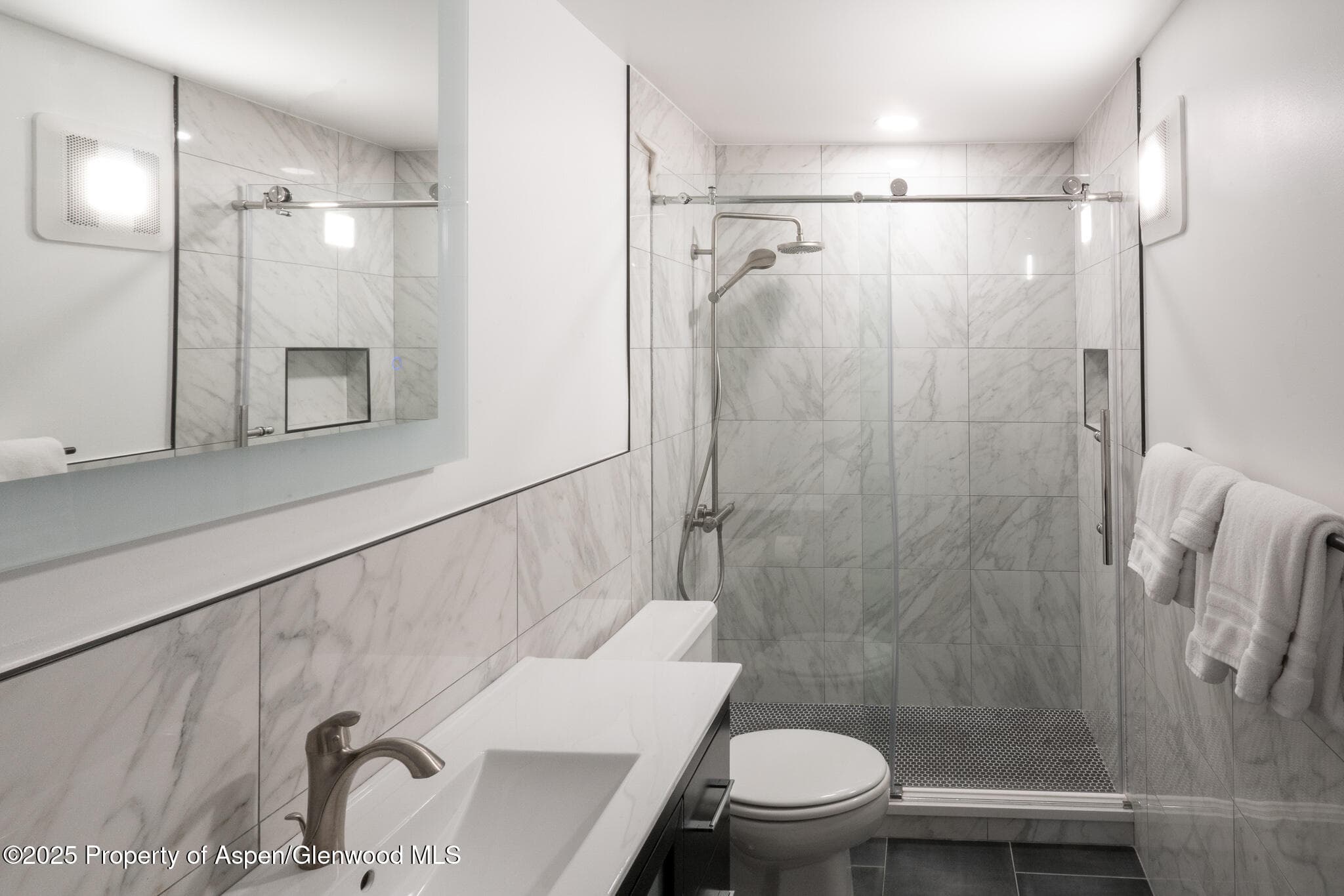 1316 Vine Street, Aspen, CO 81611 - Photo 12