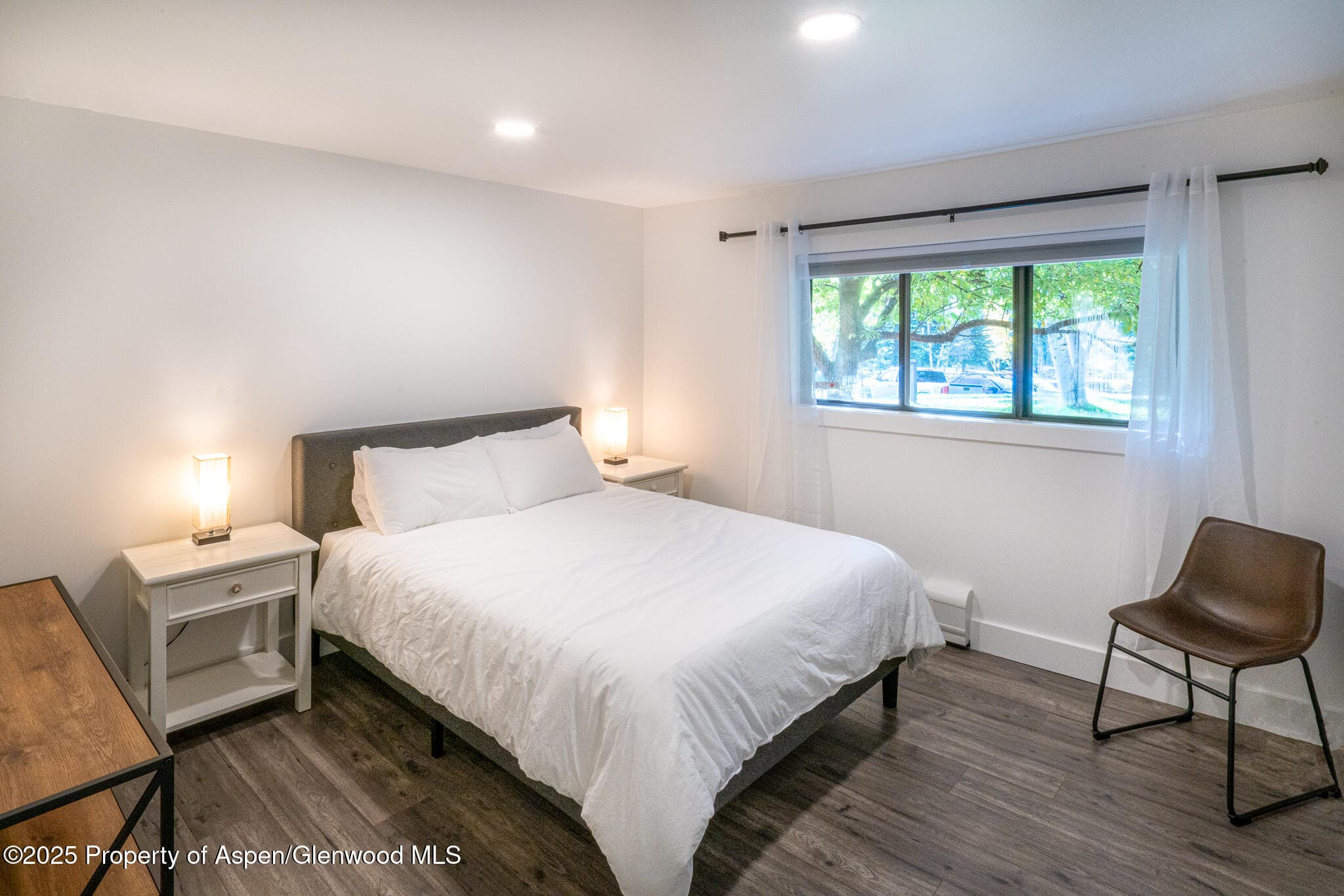 1316 Vine Street, Aspen, CO 81611 - Photo 9