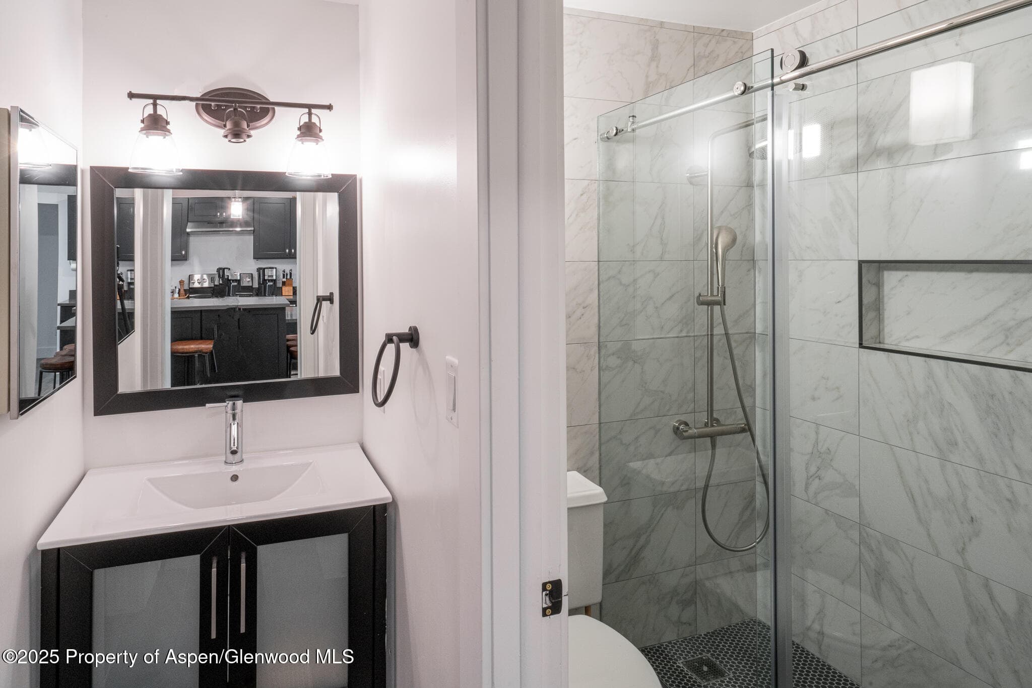 1316 Vine Street, Aspen, CO 81611 - Photo 10
