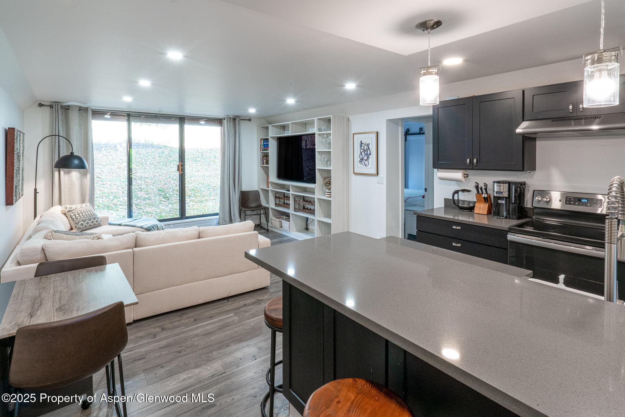1316 Vine Street, Aspen, CO 81611 - Photo 4