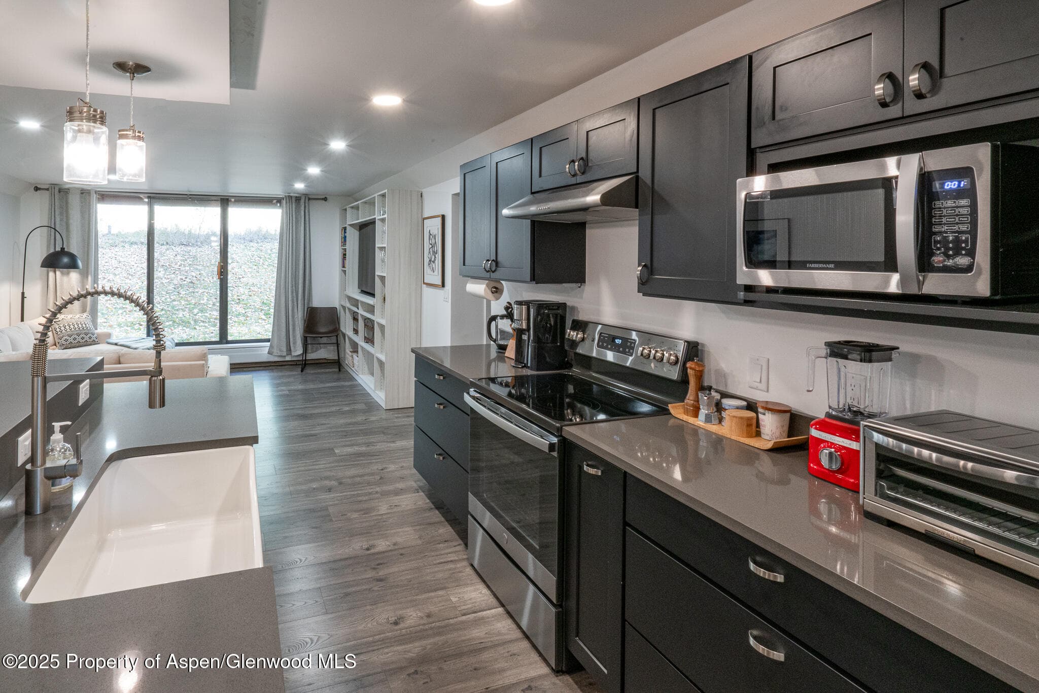 1316 Vine Street, Aspen, CO 81611 - Photo 6