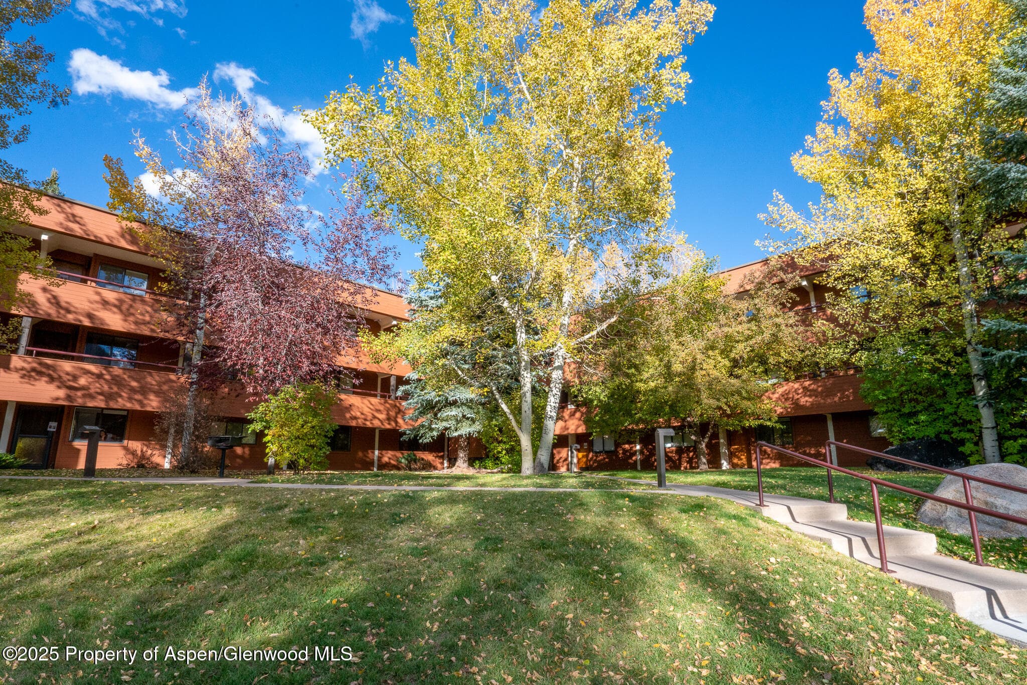 1316 Vine Street, Aspen, CO 81611 - Photo 15