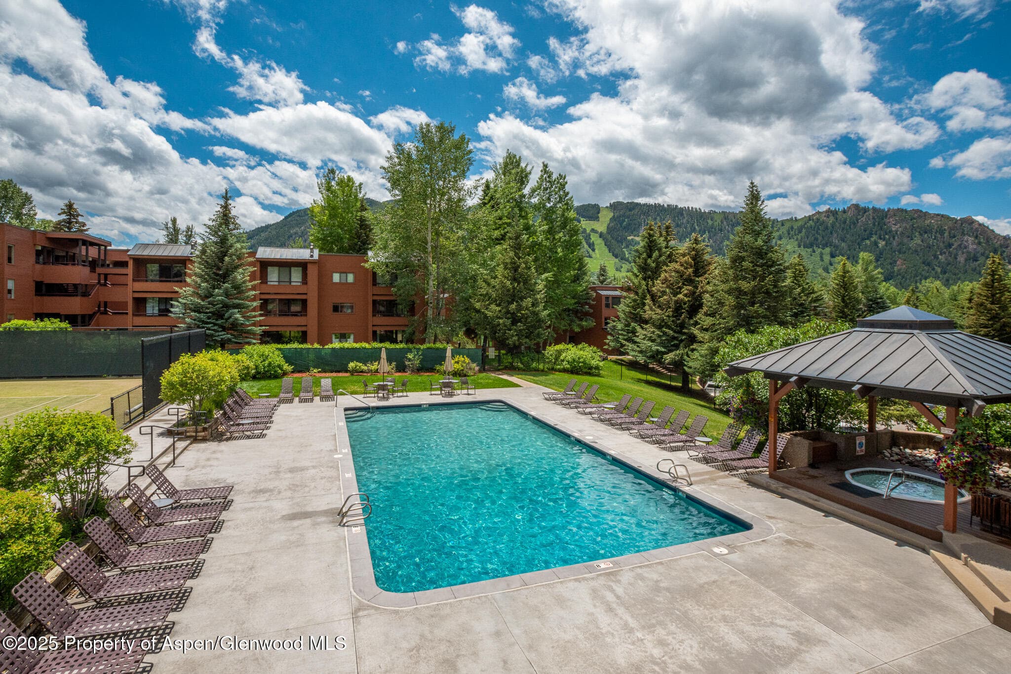 1316 Vine Street, Aspen, CO 81611 - Photo 14