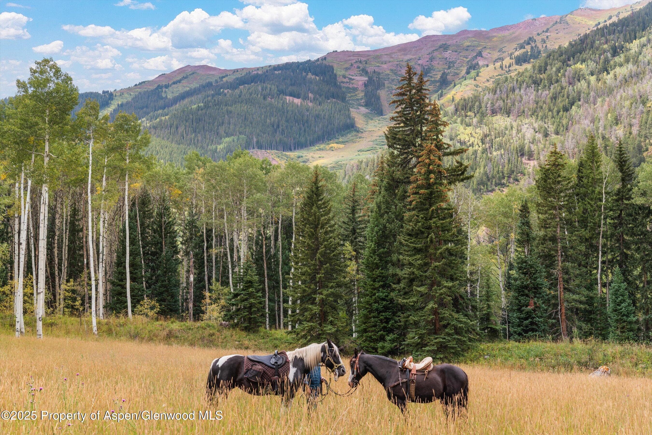 TBD Conundrum Creek Road, Aspen, CO 81611 - Photo 1