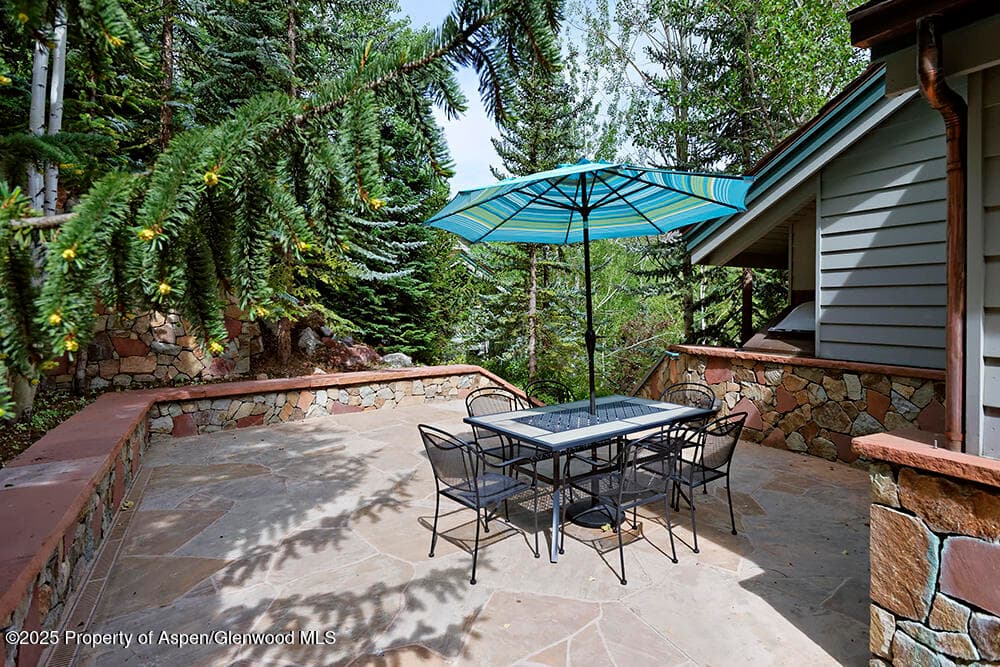 333 Faraway Road, Snowmass Village, CO 81615 - Photo 29