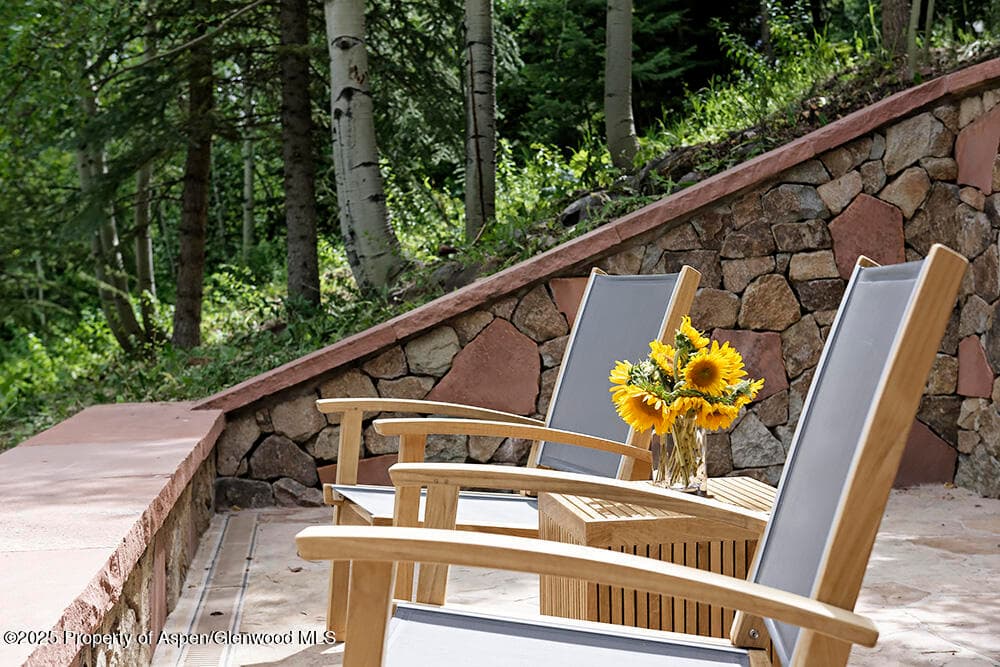 333 Faraway Road, Snowmass Village, CO 81615 - Photo 12