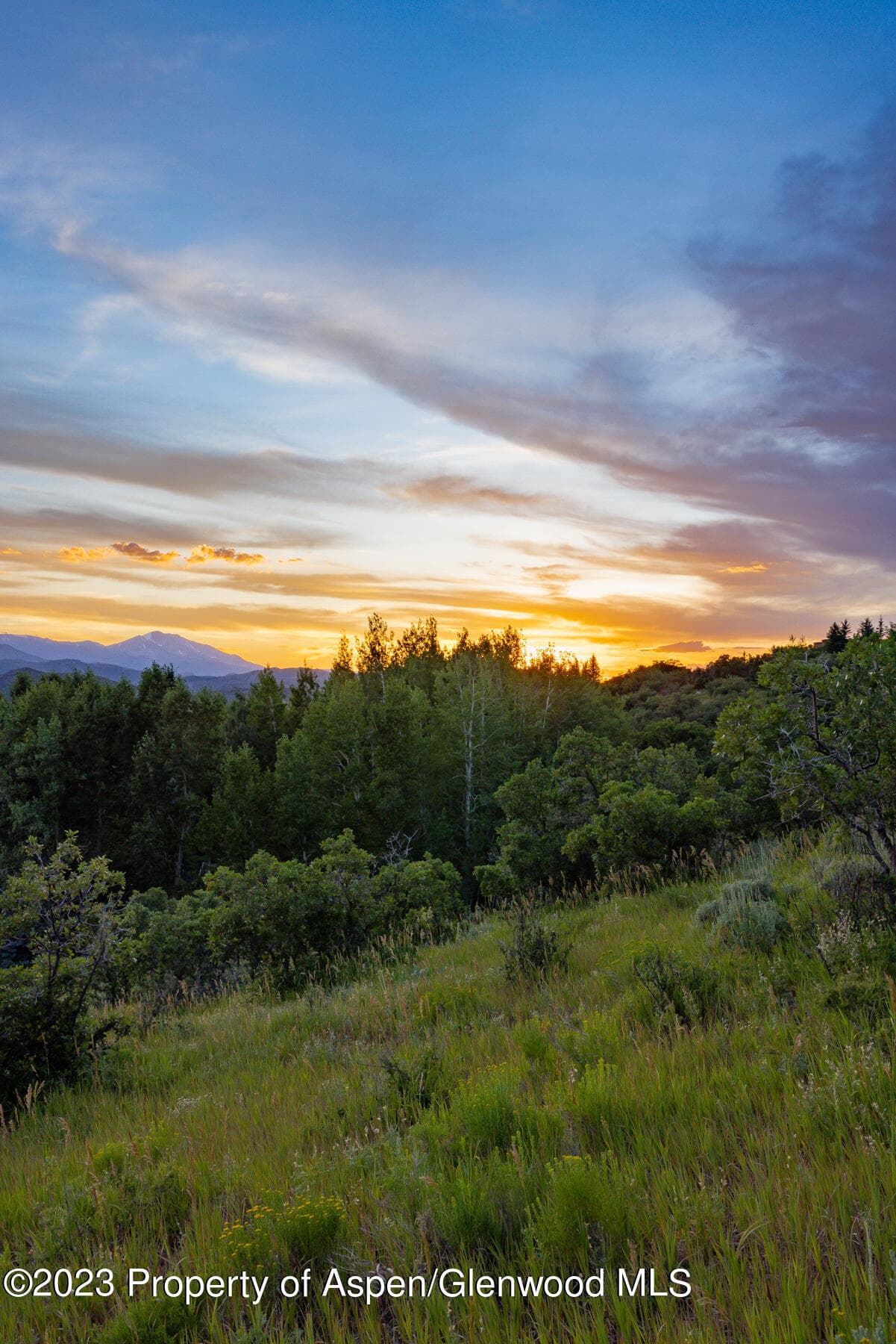 754 Eppley Drive, Aspen, CO 81611 - Photo 15