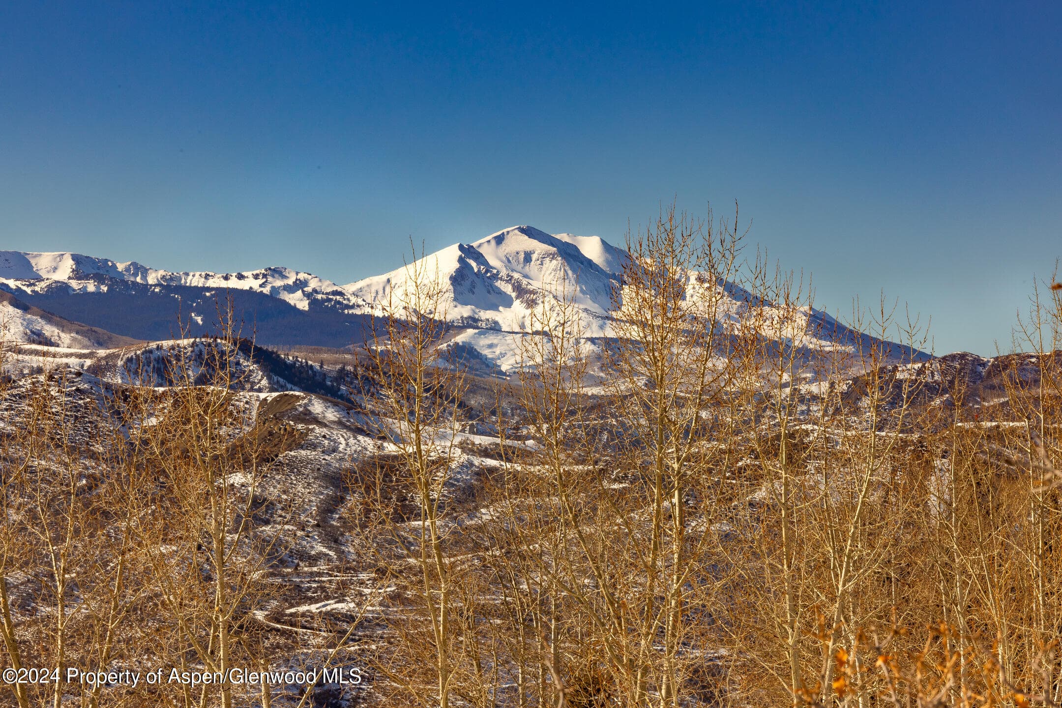 754 Eppley Drive, Aspen, CO 81611 - Photo 22