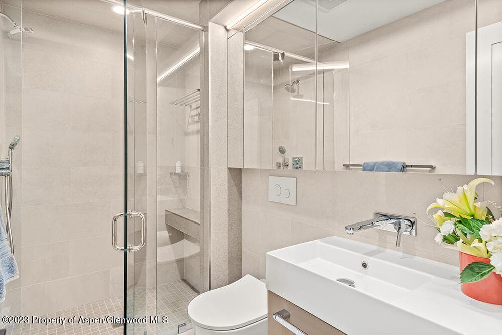631 S Galena Street #11, Aspen, CO 81611 - Photo 9
