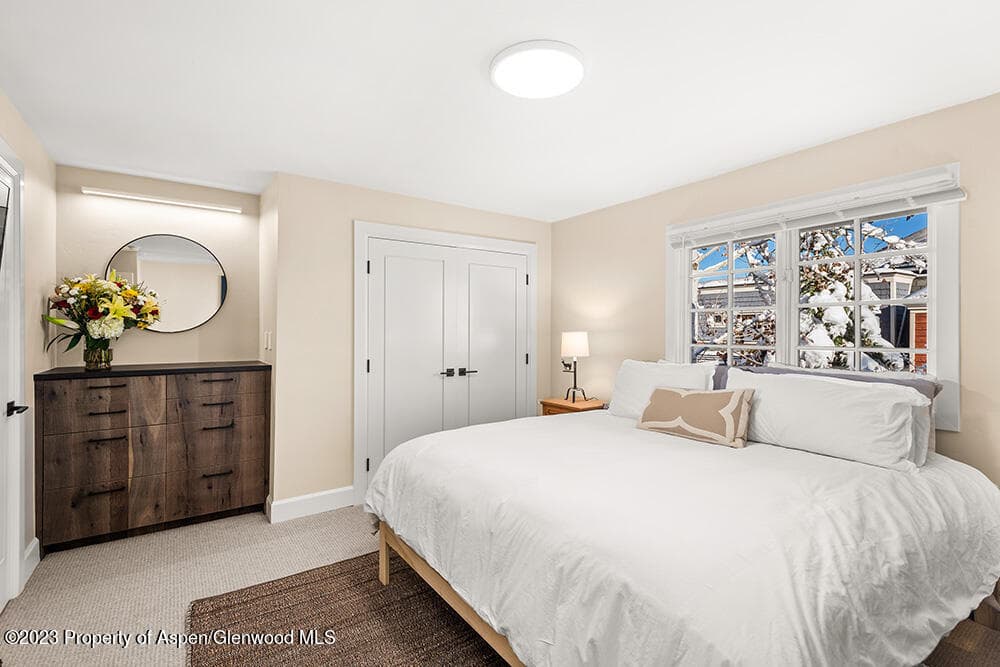 631 S Galena Street #11, Aspen, CO 81611 - Photo 10